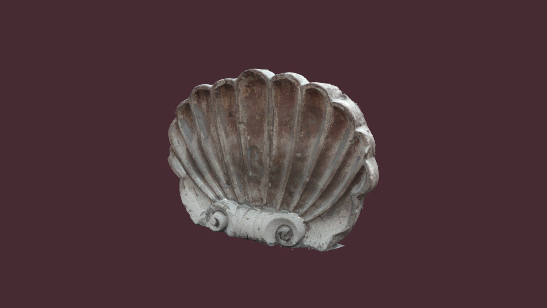 Shell ornament