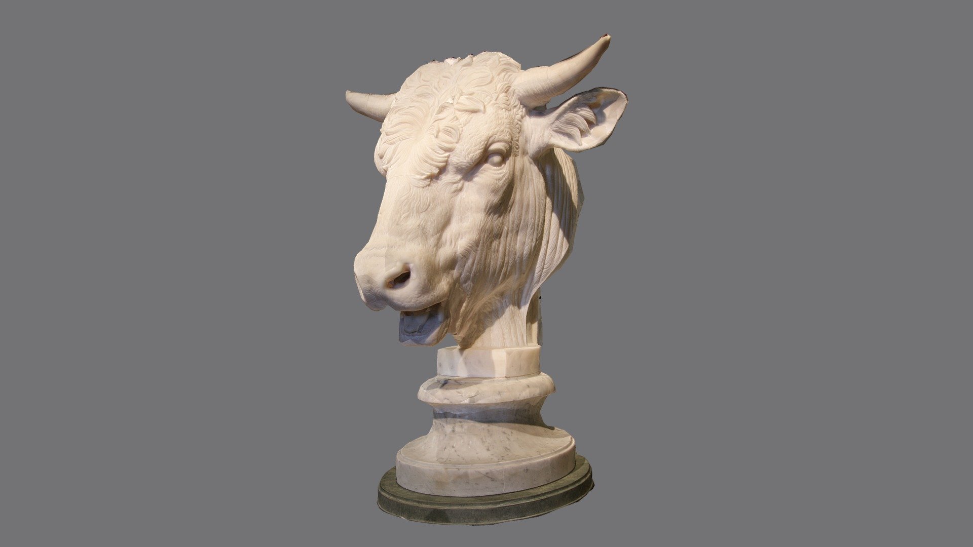Head of a Bull