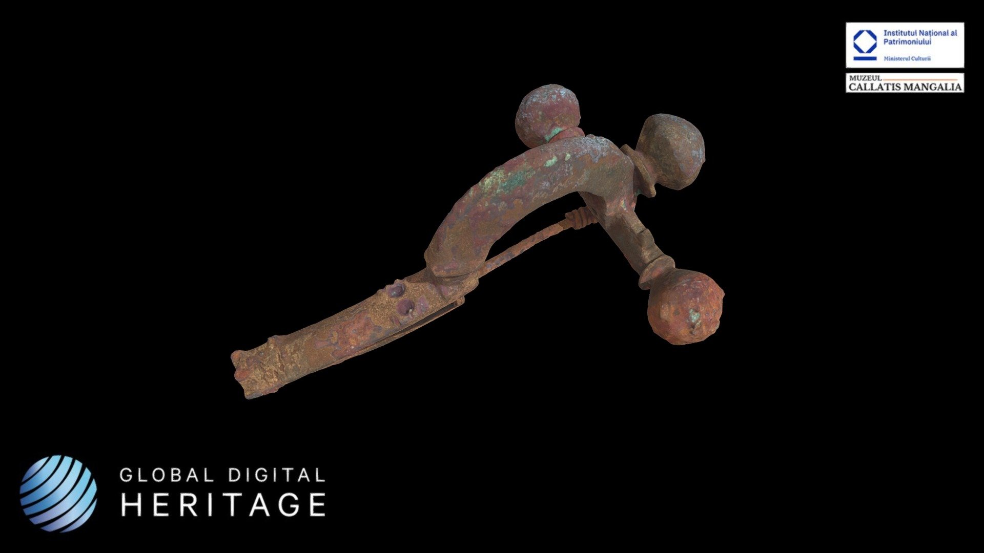 Fibula