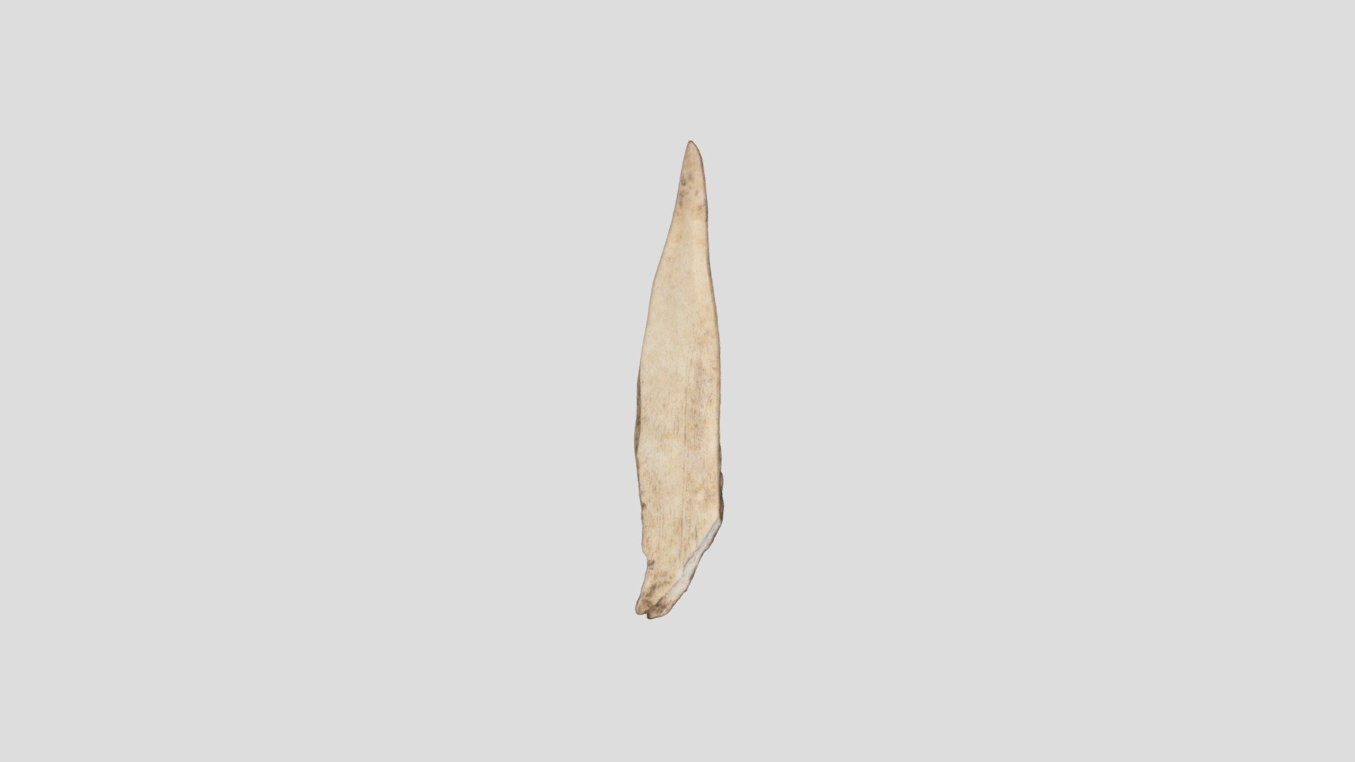 刺突具　fish spearhead