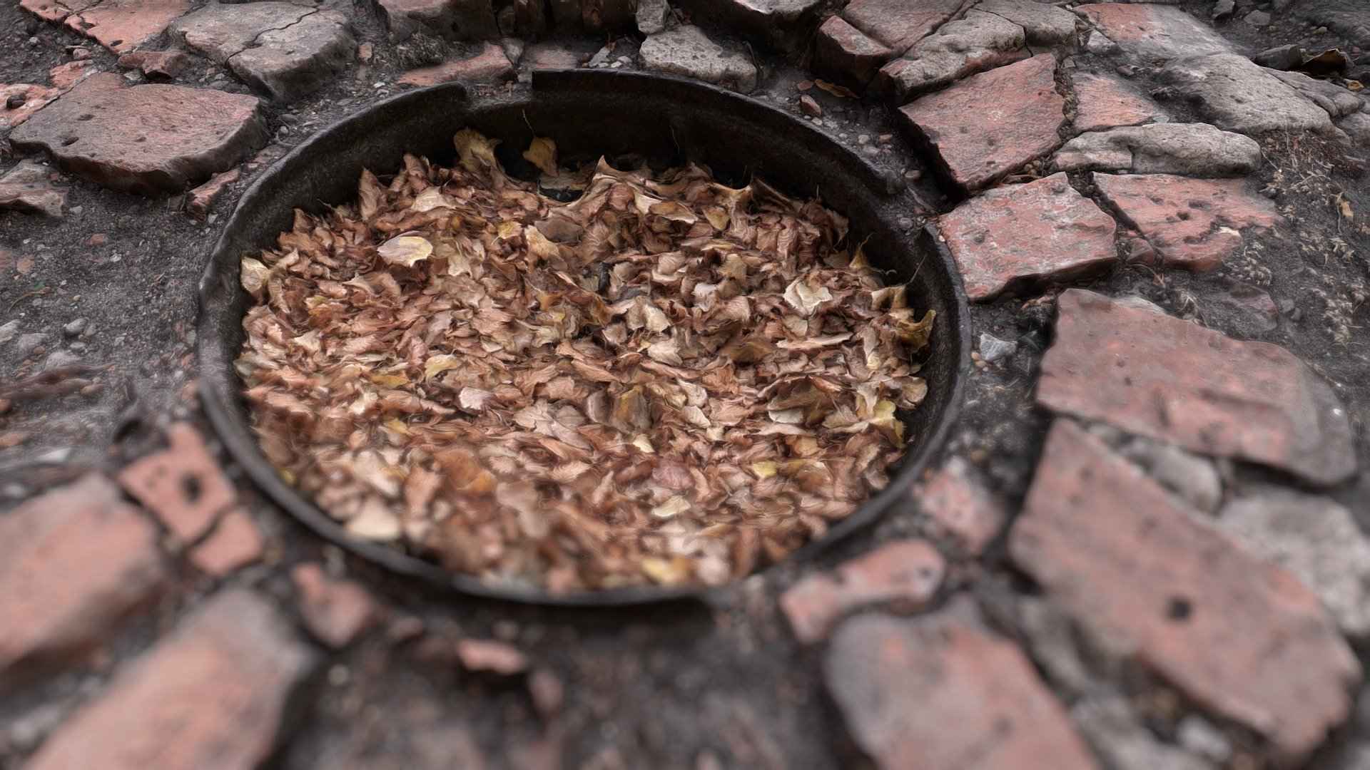 Manhole with leaves [Photogrammetry Scan]