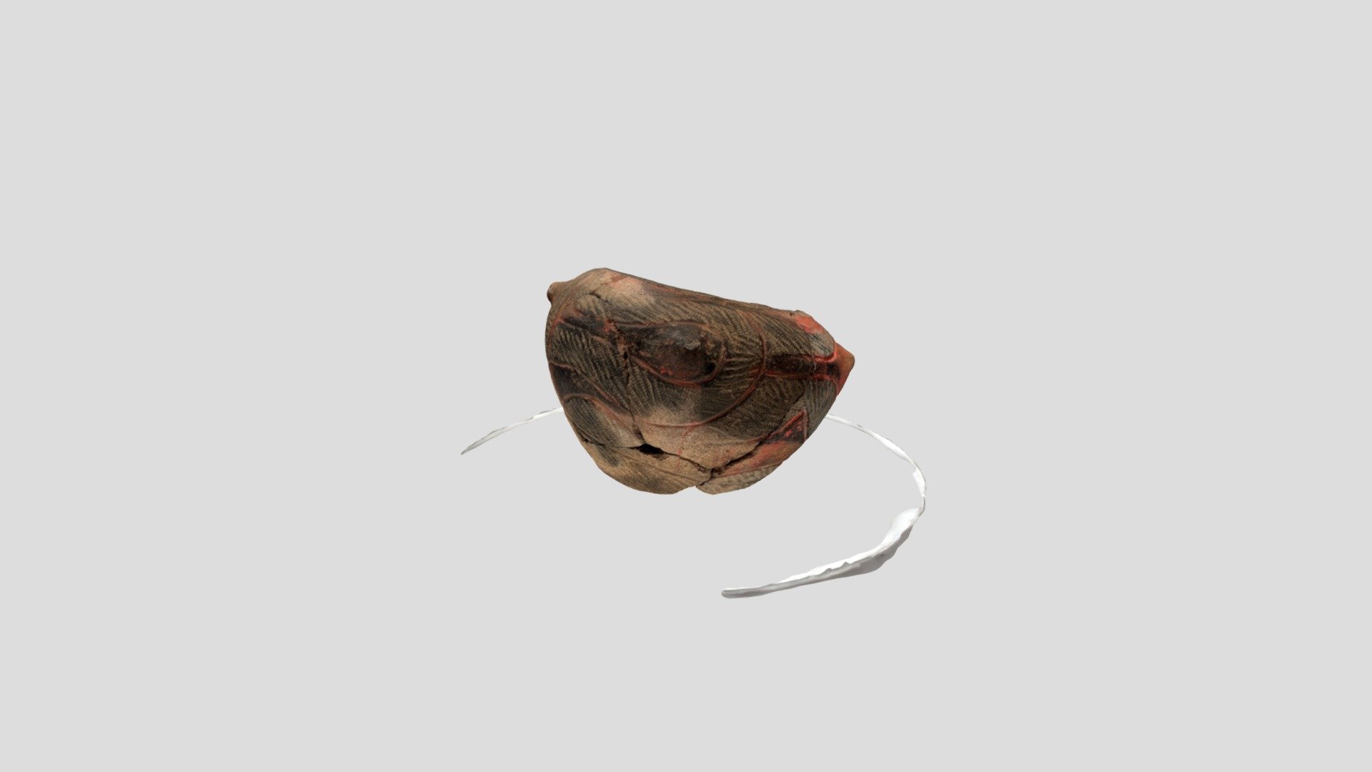 jomon pottery test