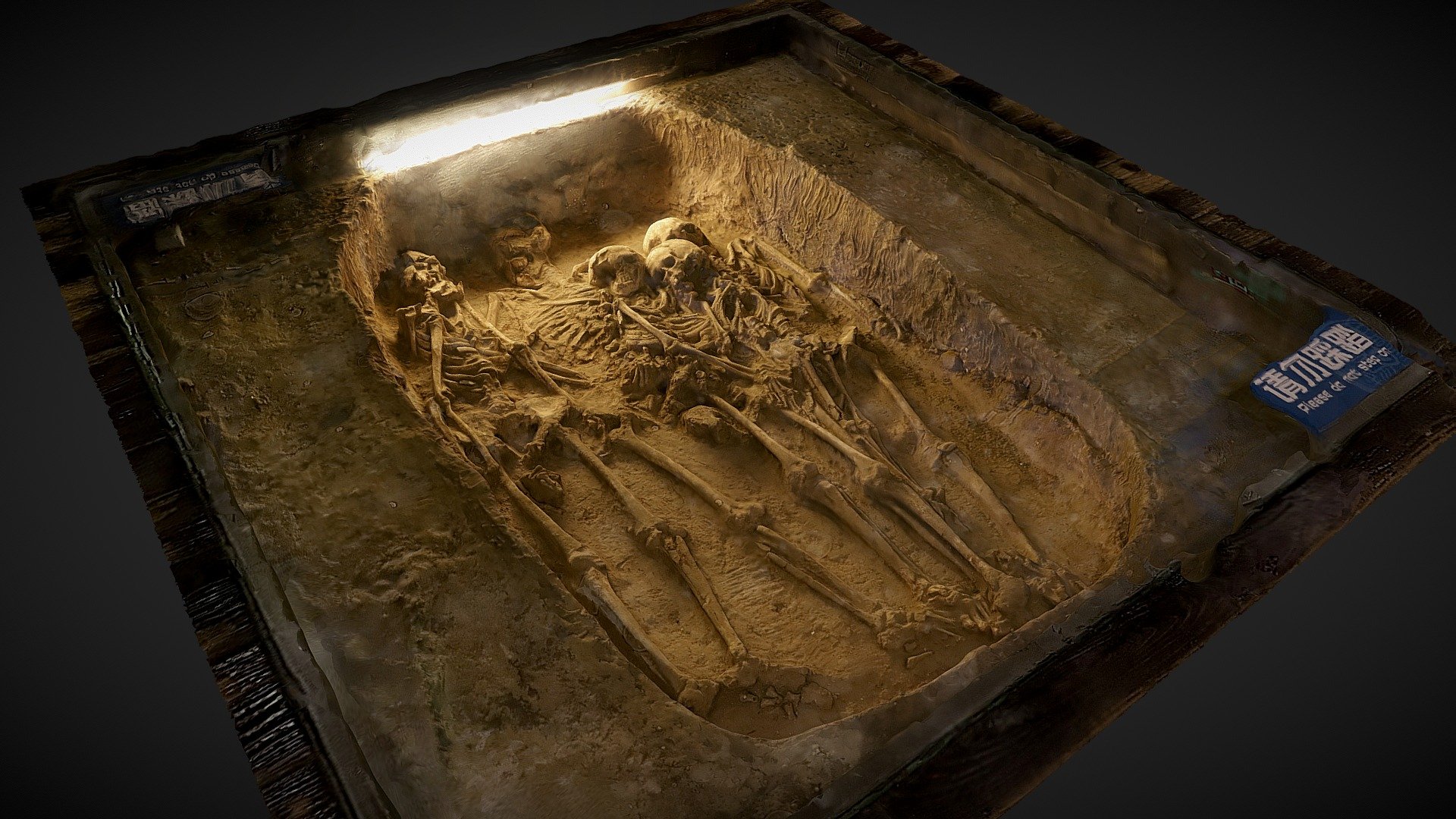 Skeletal Remains - Three Gorges Musuem