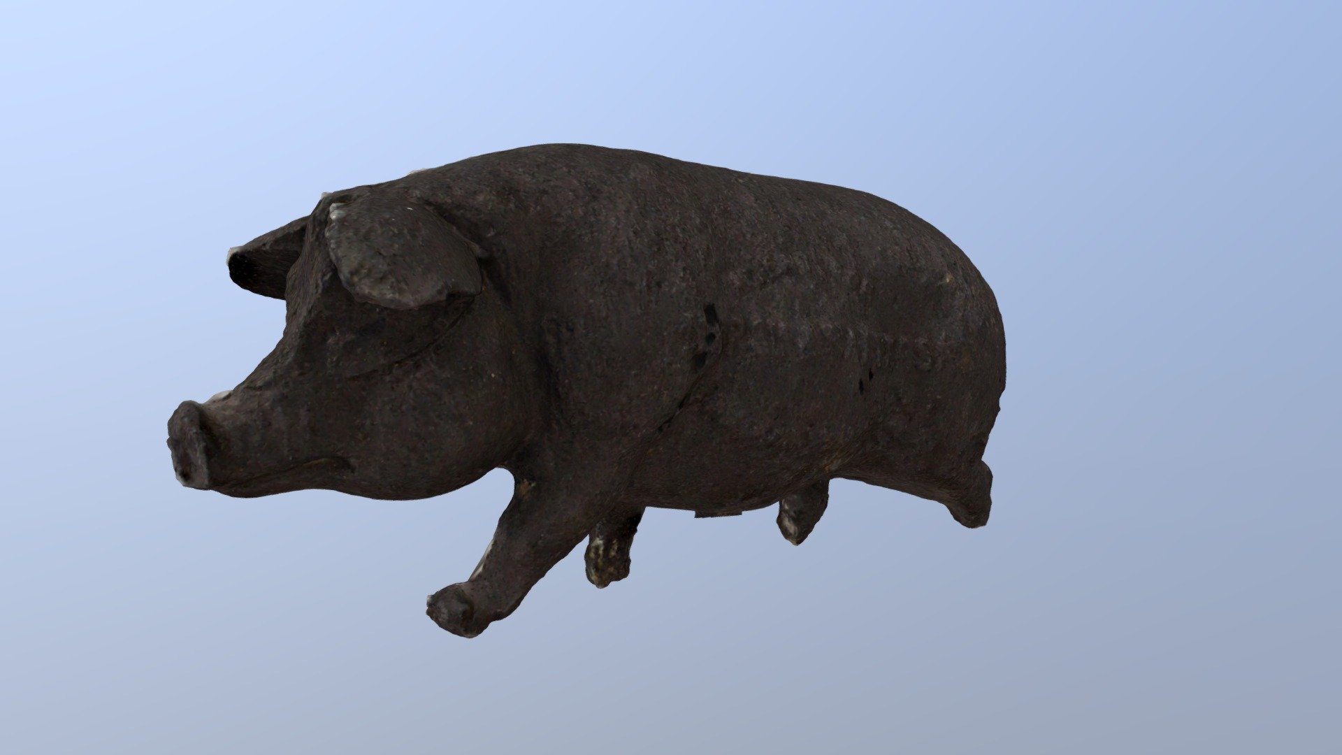 Pig