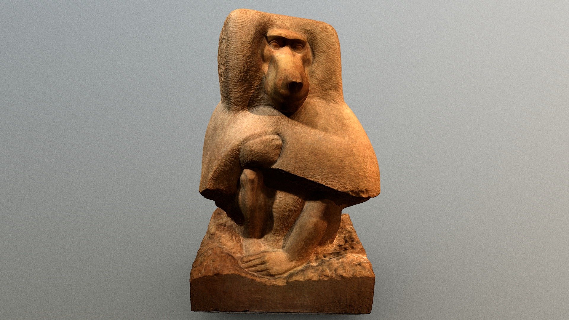 Baboon