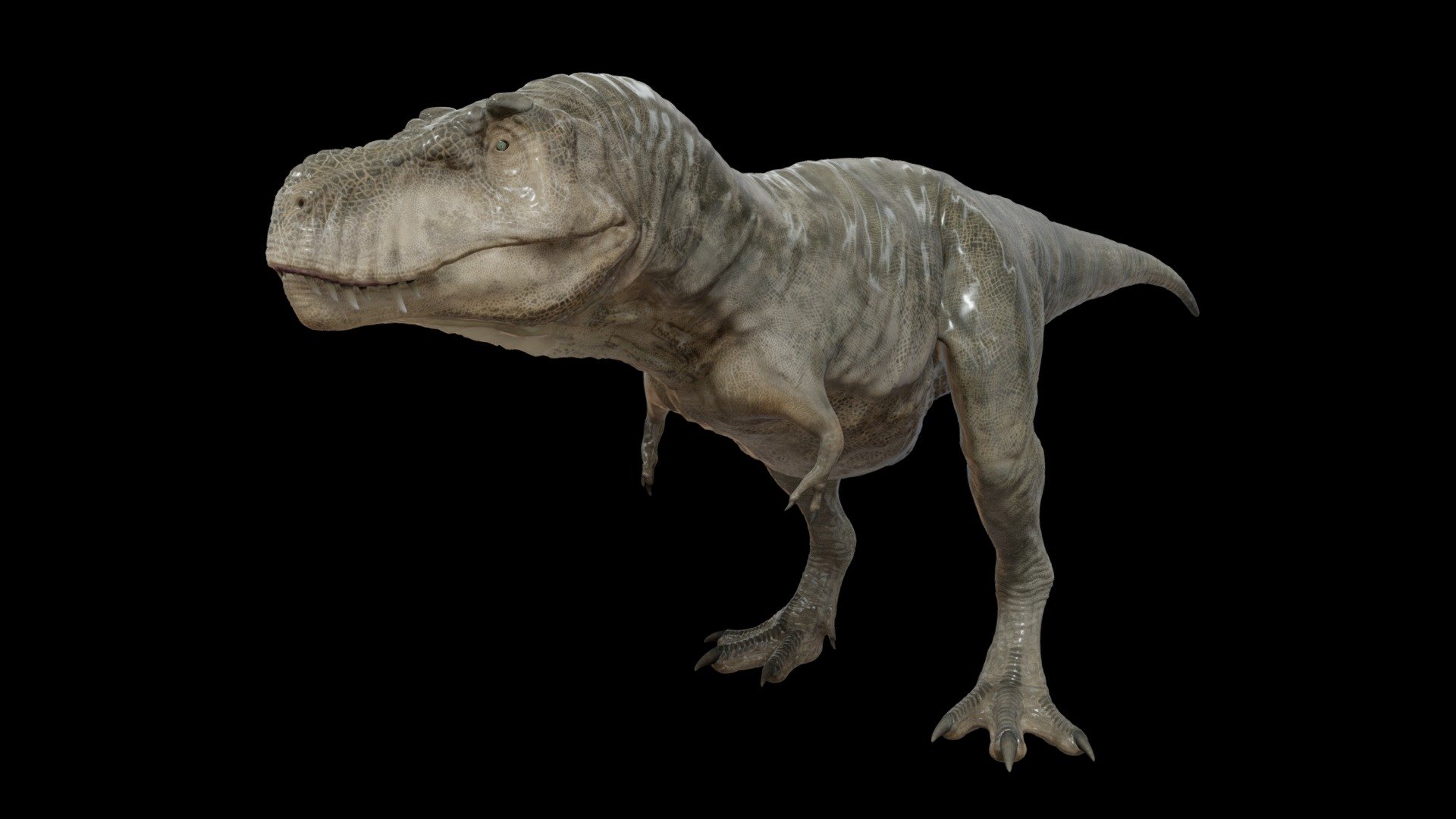 Tyrannosaurus Rex
