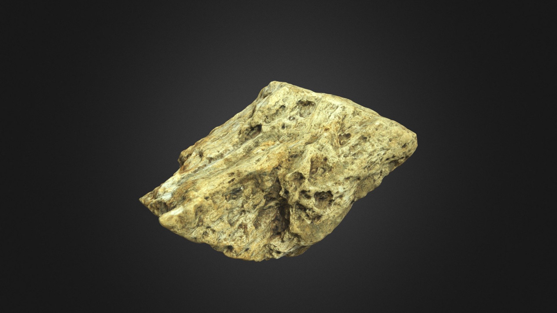 Pumice Stone