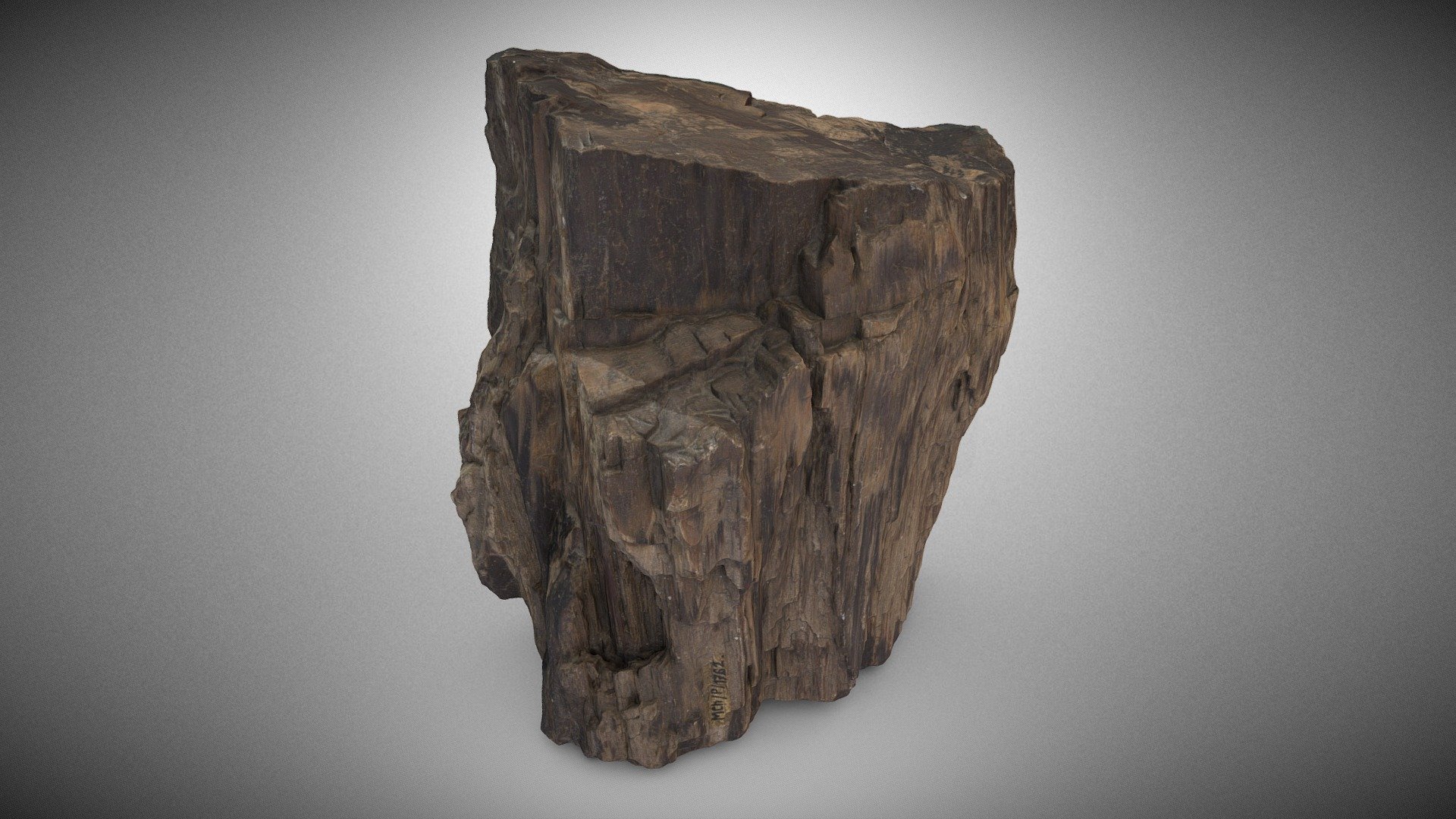 Petrified wood