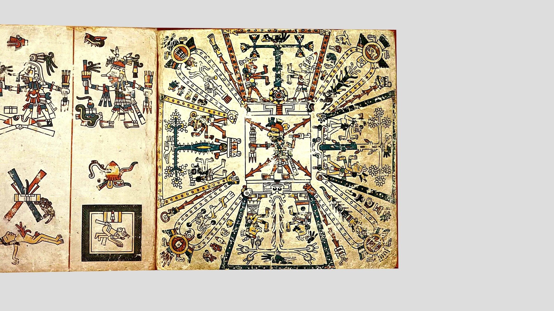 Amoxtli Tezcatlipoca (Codex Fejérváry-Mayer)