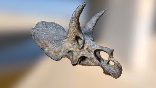 Triceratops horridus - Retopologized