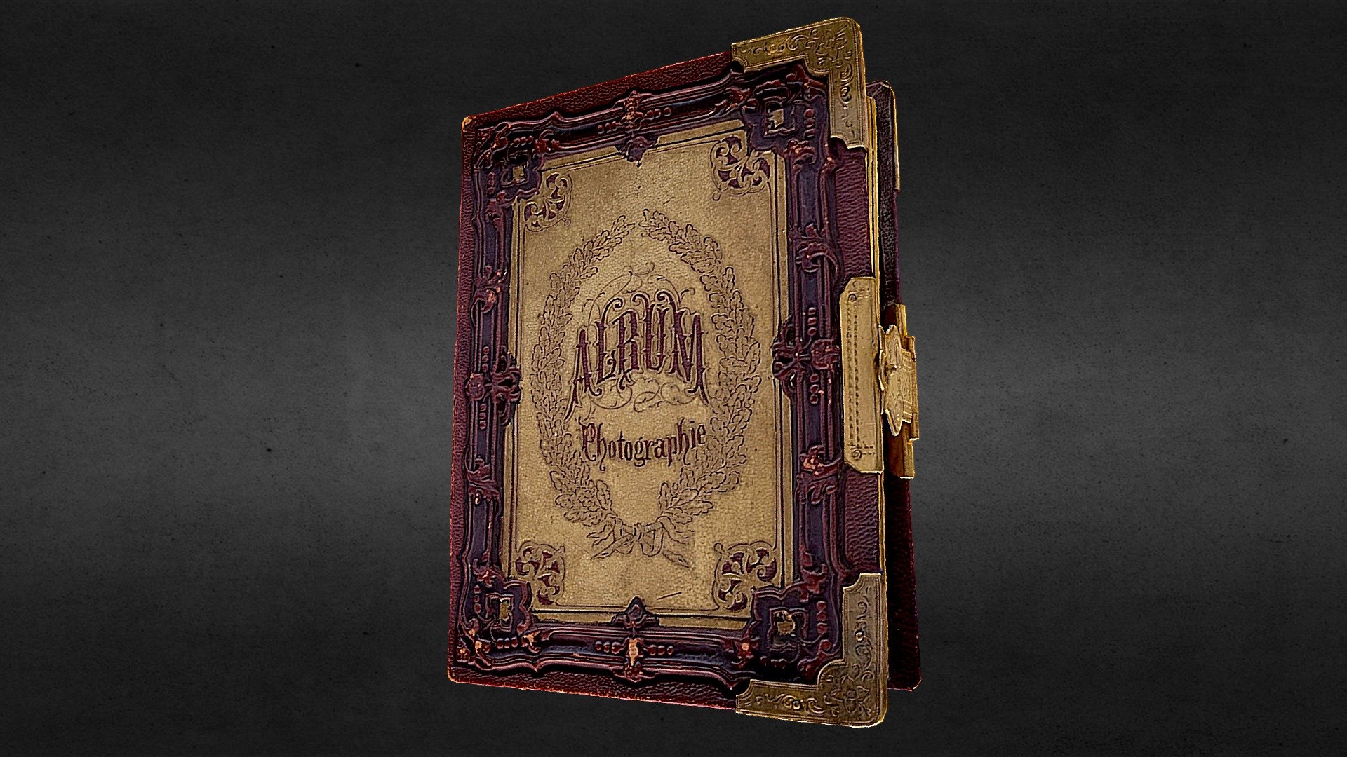 Family Photography Album Austria - 19th century