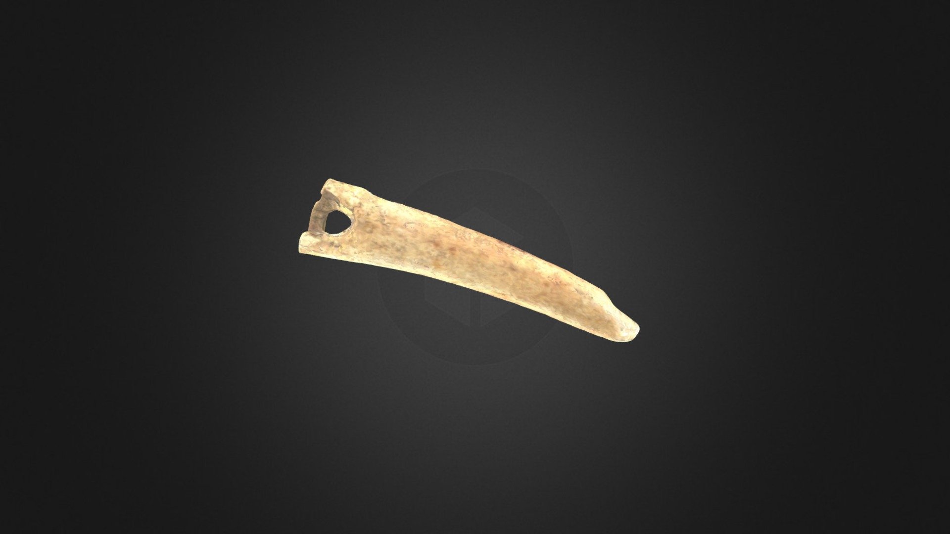Bone Spatula