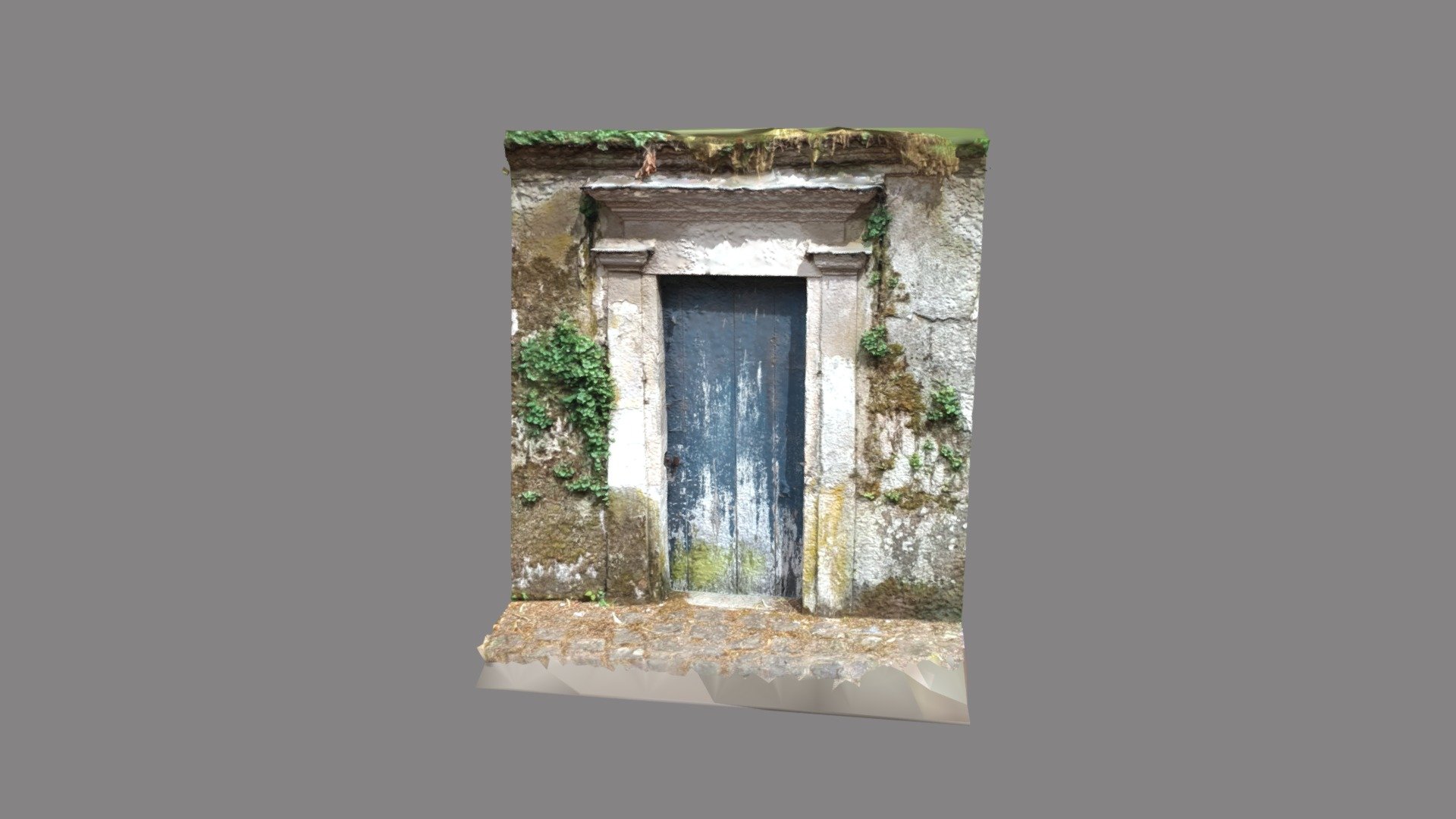 Old door