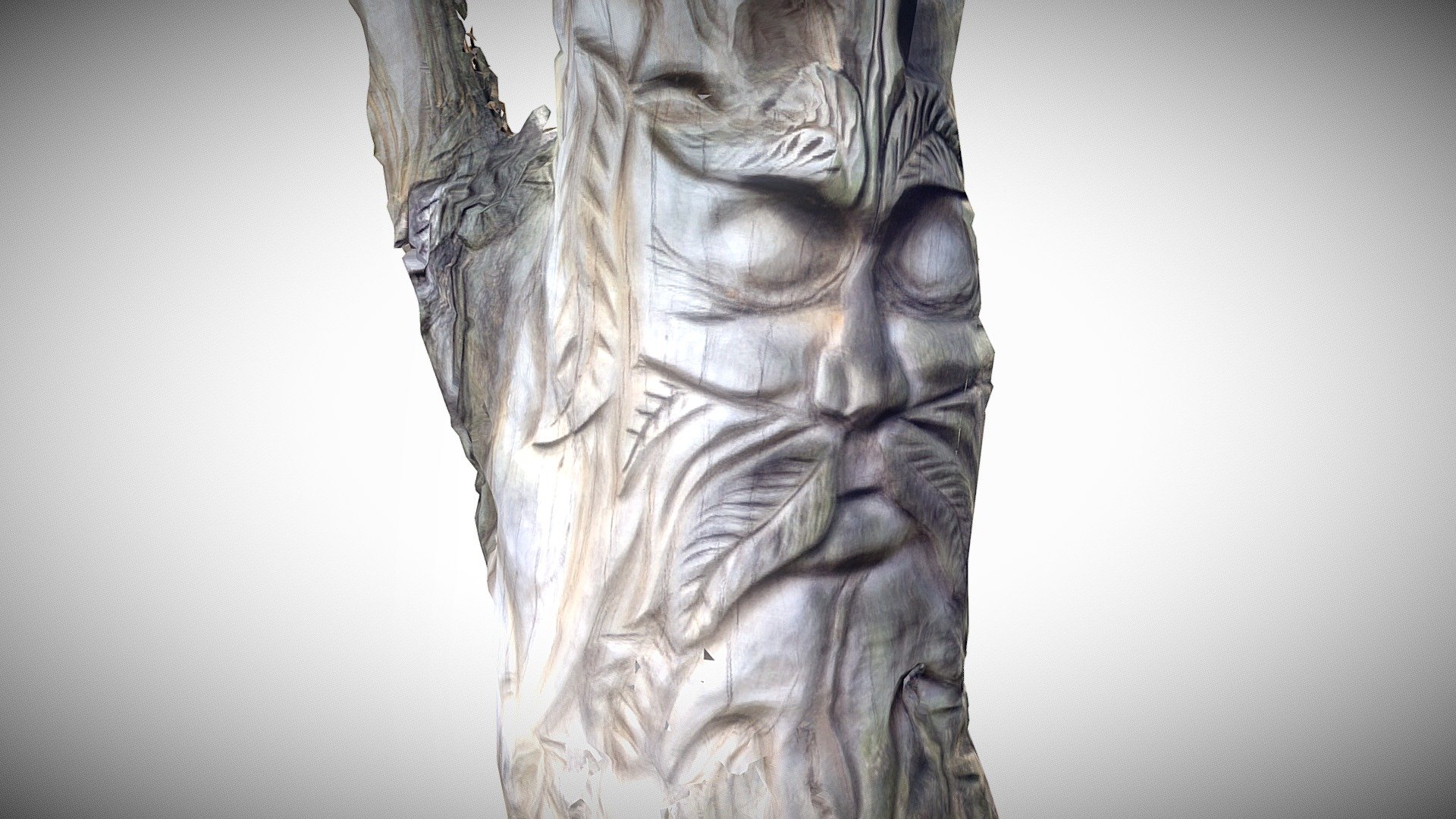 Tree face