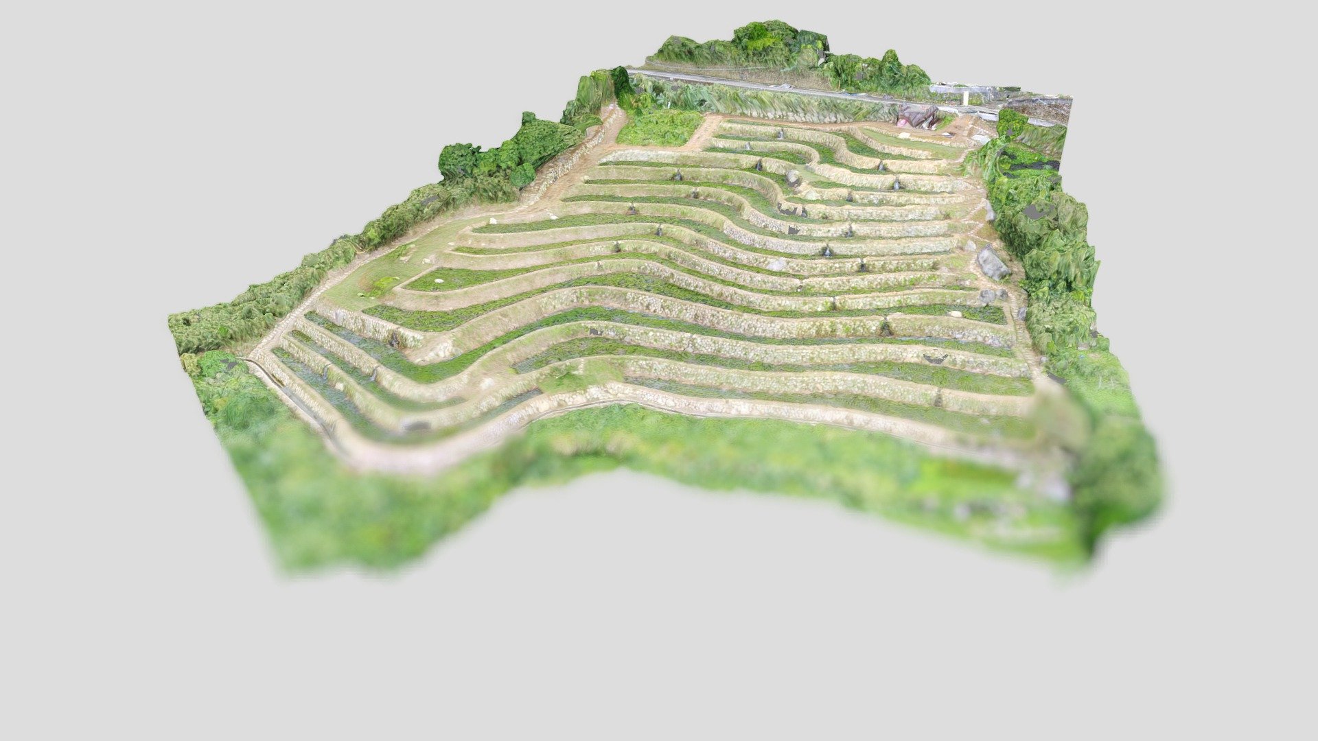 20221021臺北石門梯田Taipei Shimen Rice Terraces
