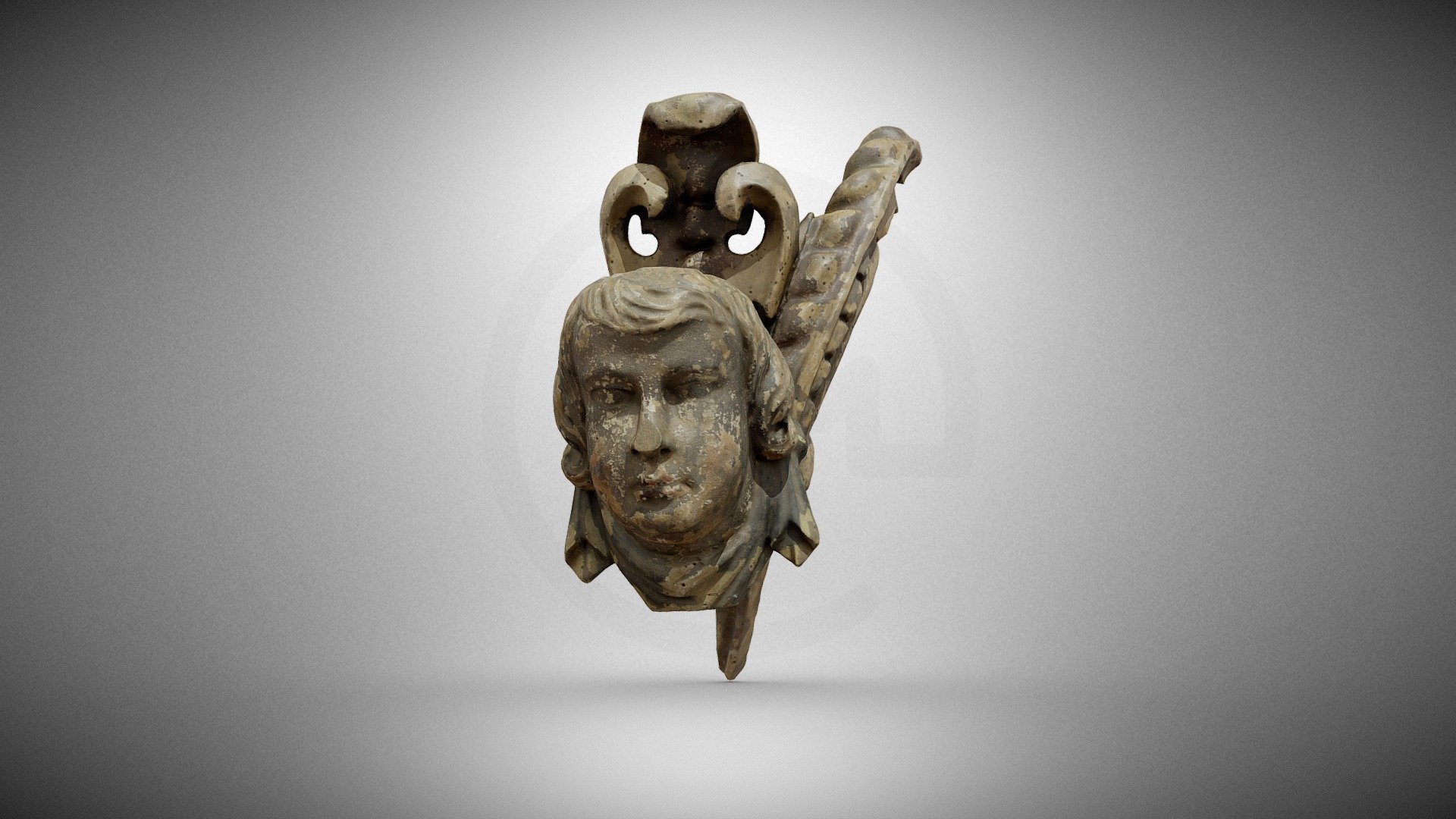 Putto head