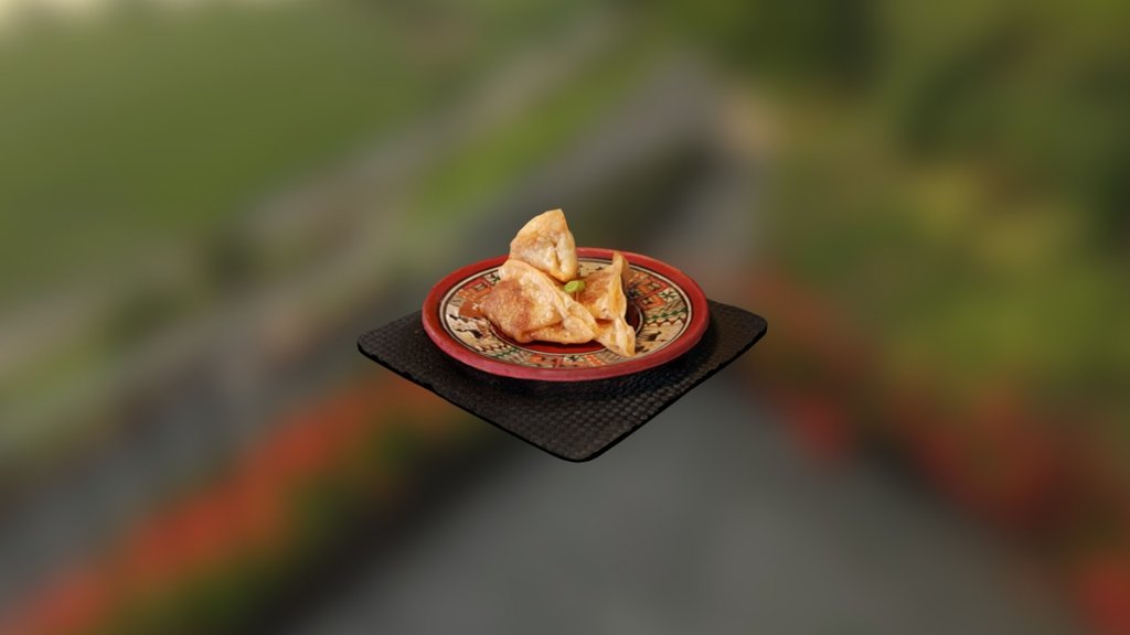 Fried Dumplings *OLD MODEL*