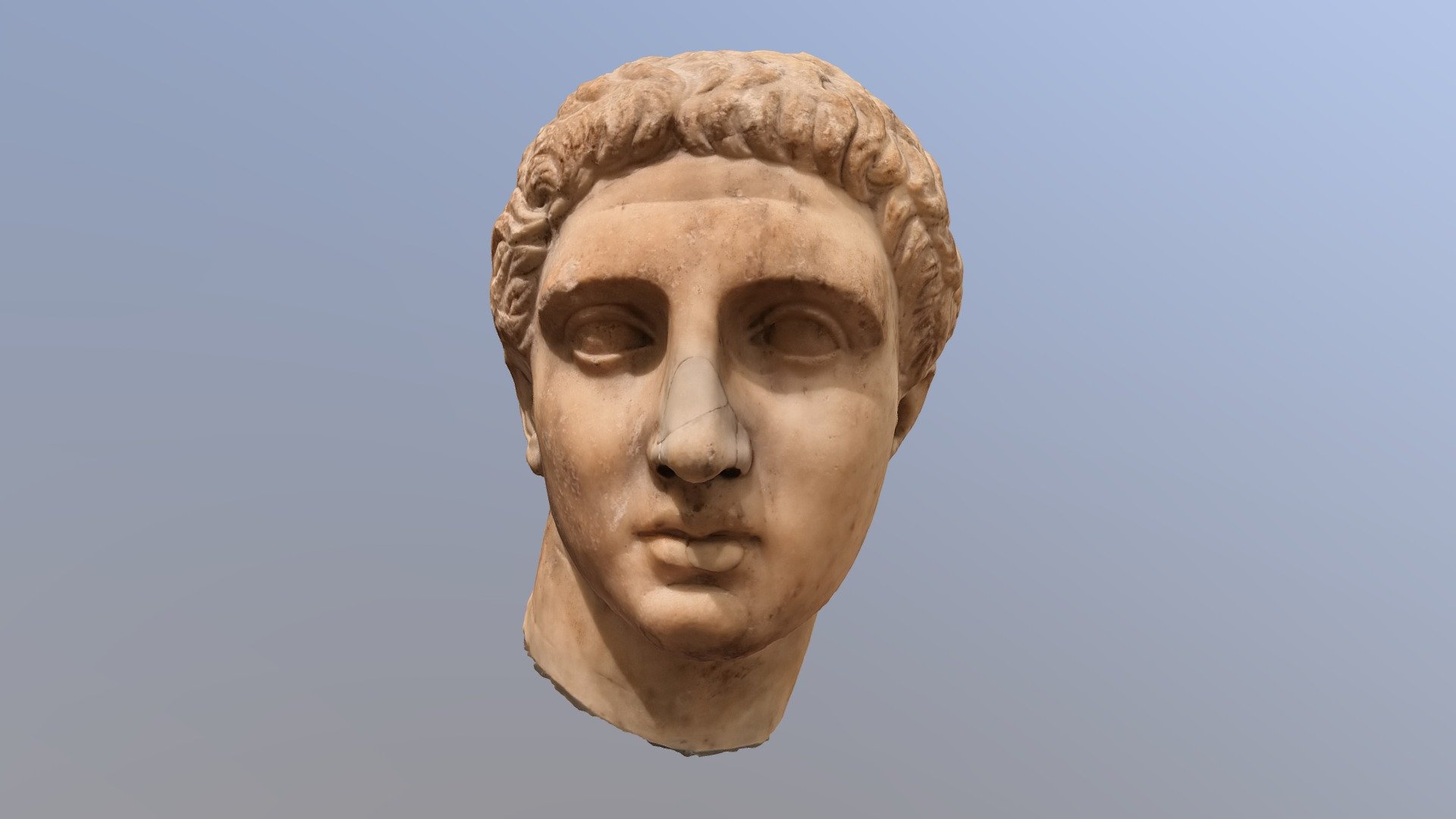 Bust of a young man