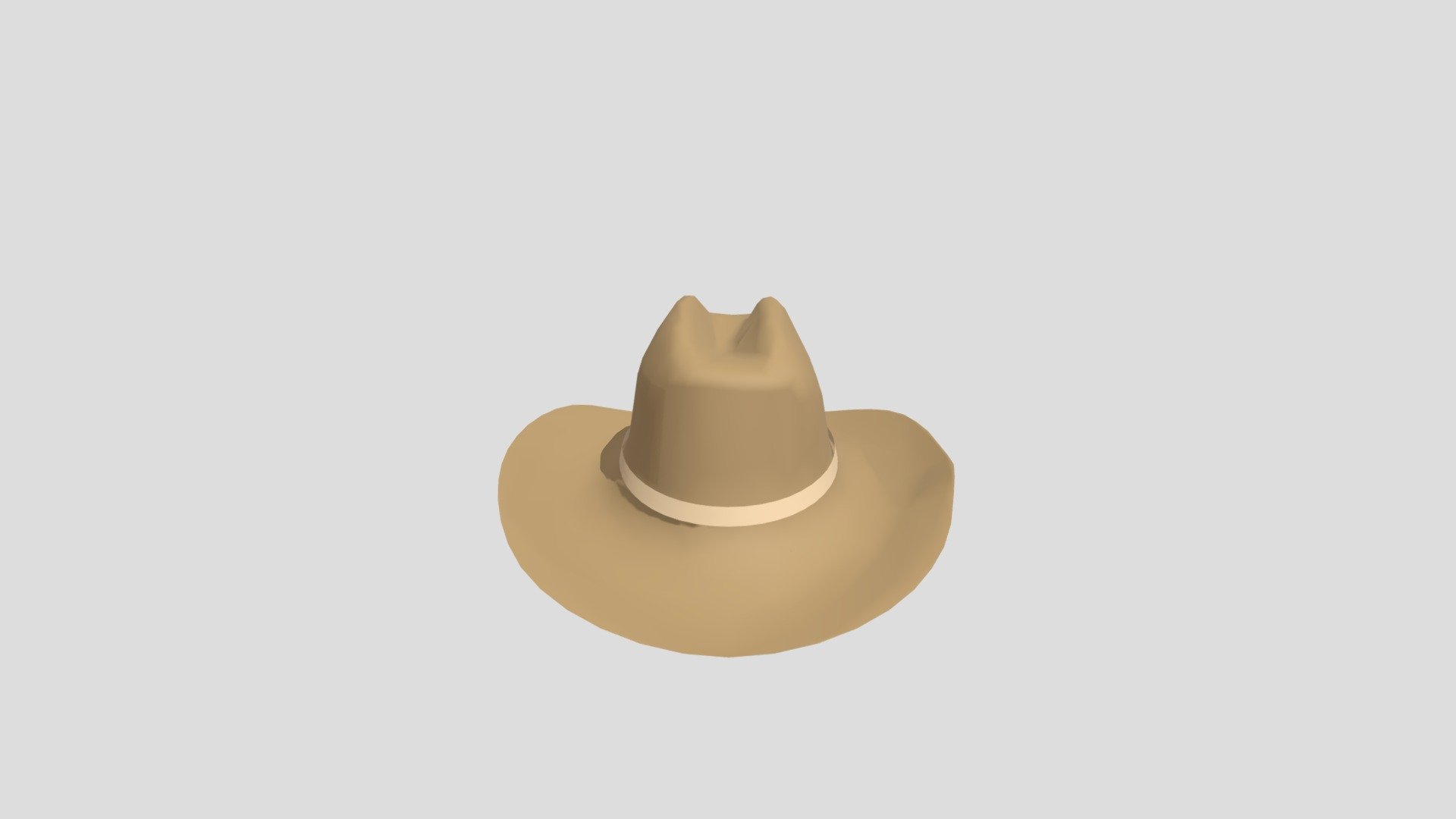Cowboy Hat