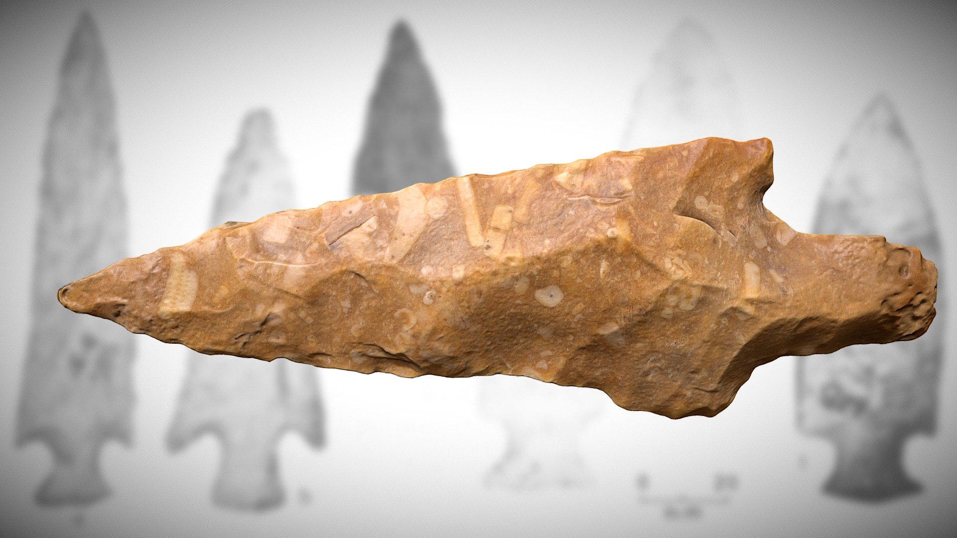 Fossil-dense, Pontchartrain-type Point