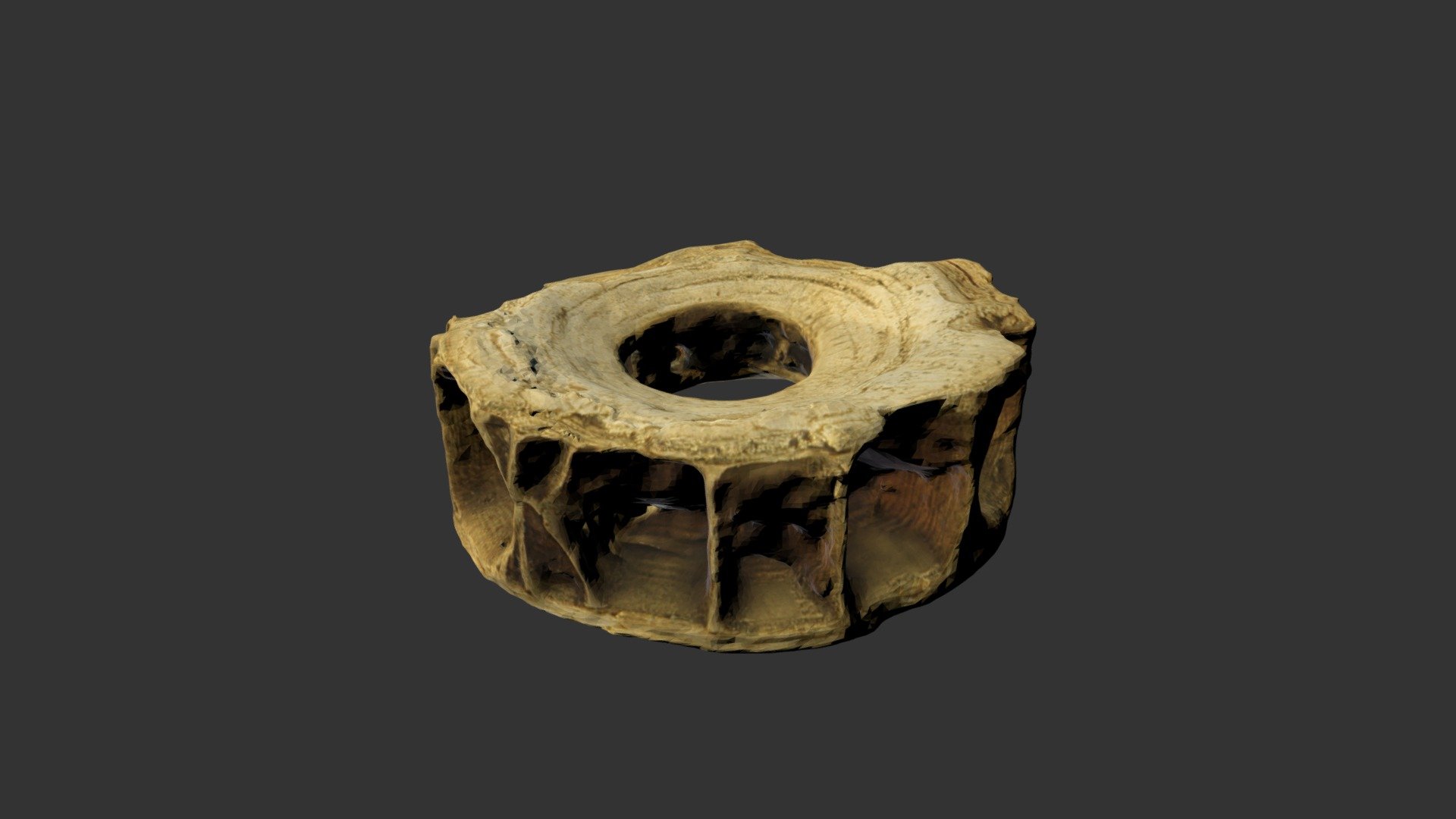 Shark Bone Ring