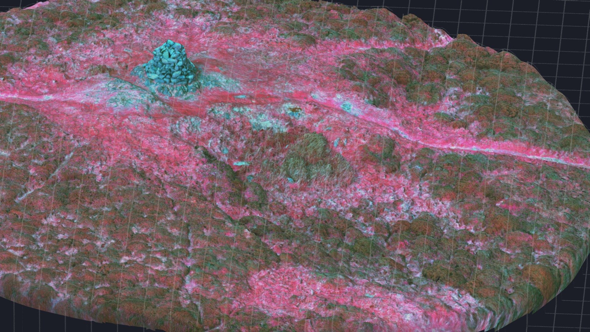 Pen-y-Gaer Hillfort Summit, False Colour NRG