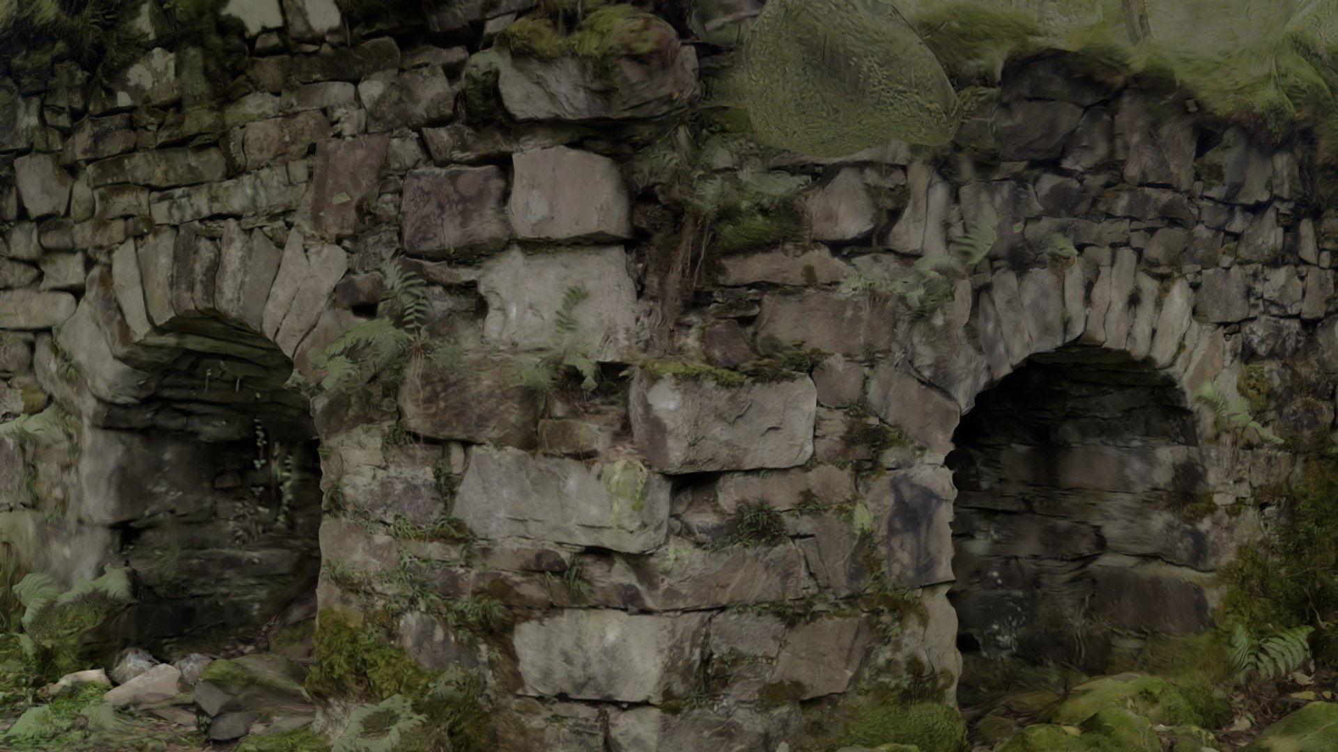 Kilmory Forest