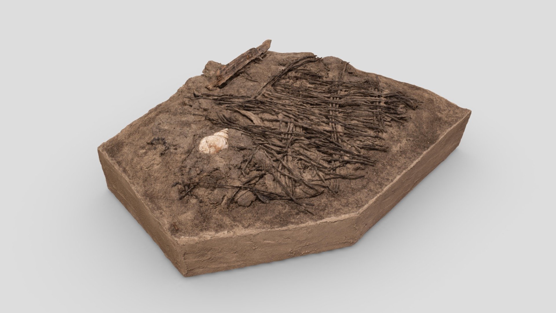 Visfuik | fish trap (15-30 AD)