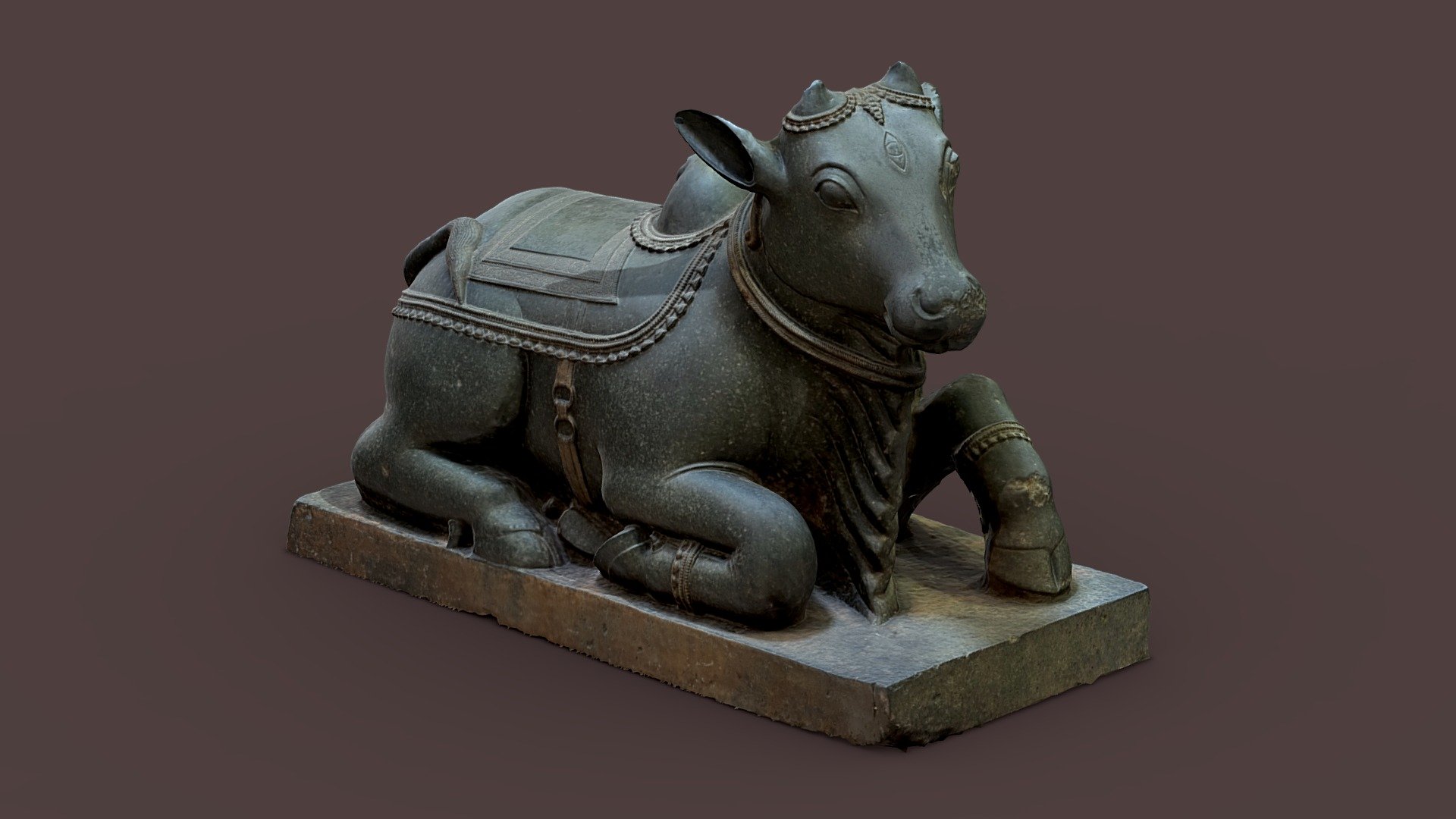 Nandi Bull