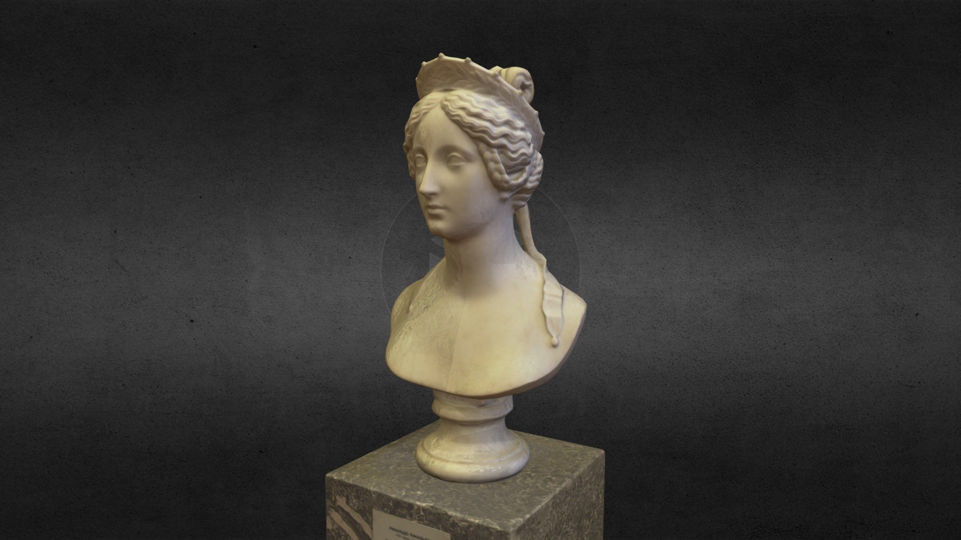 Bust
