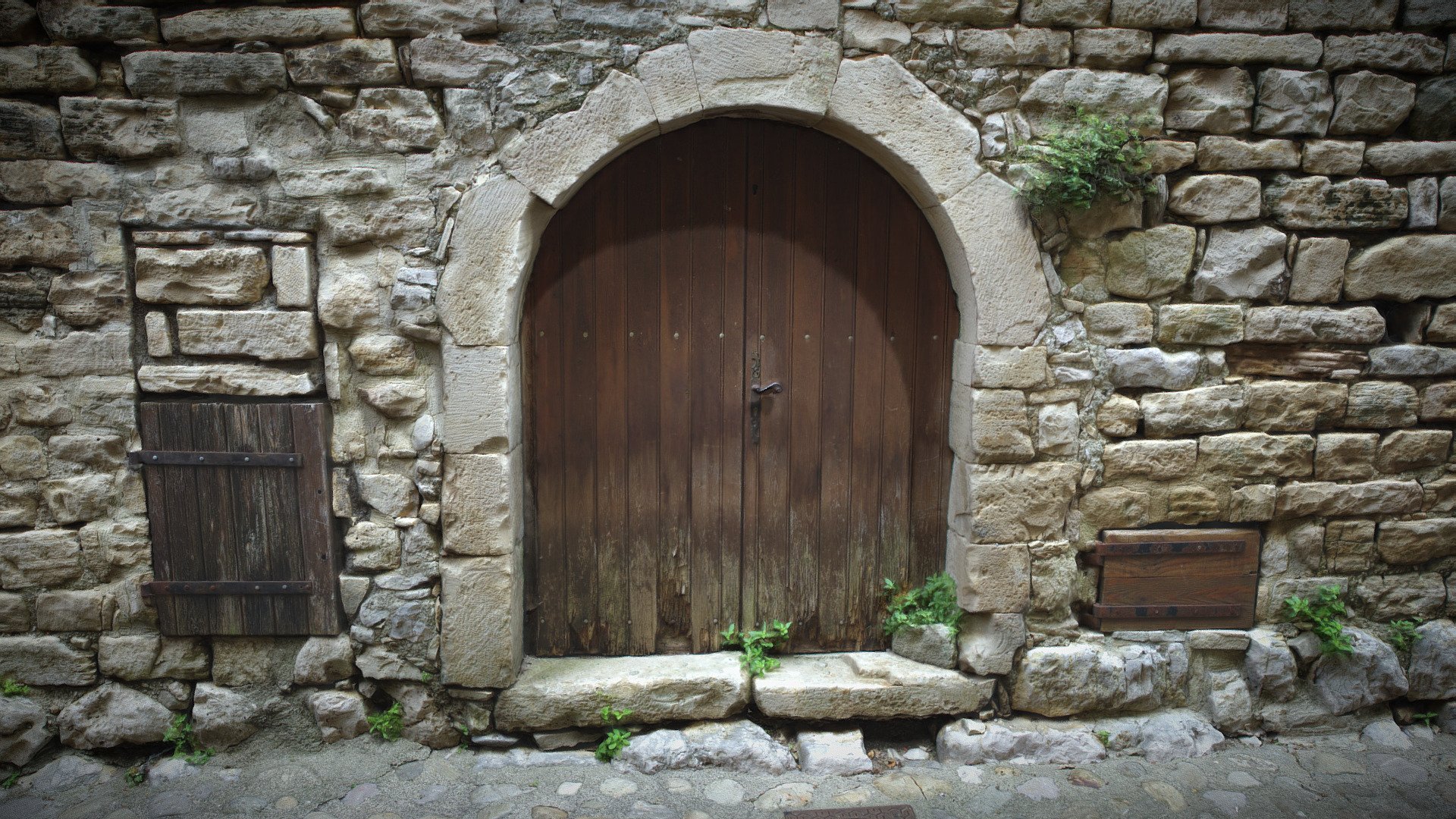 Old Brown Door And Stone Wall