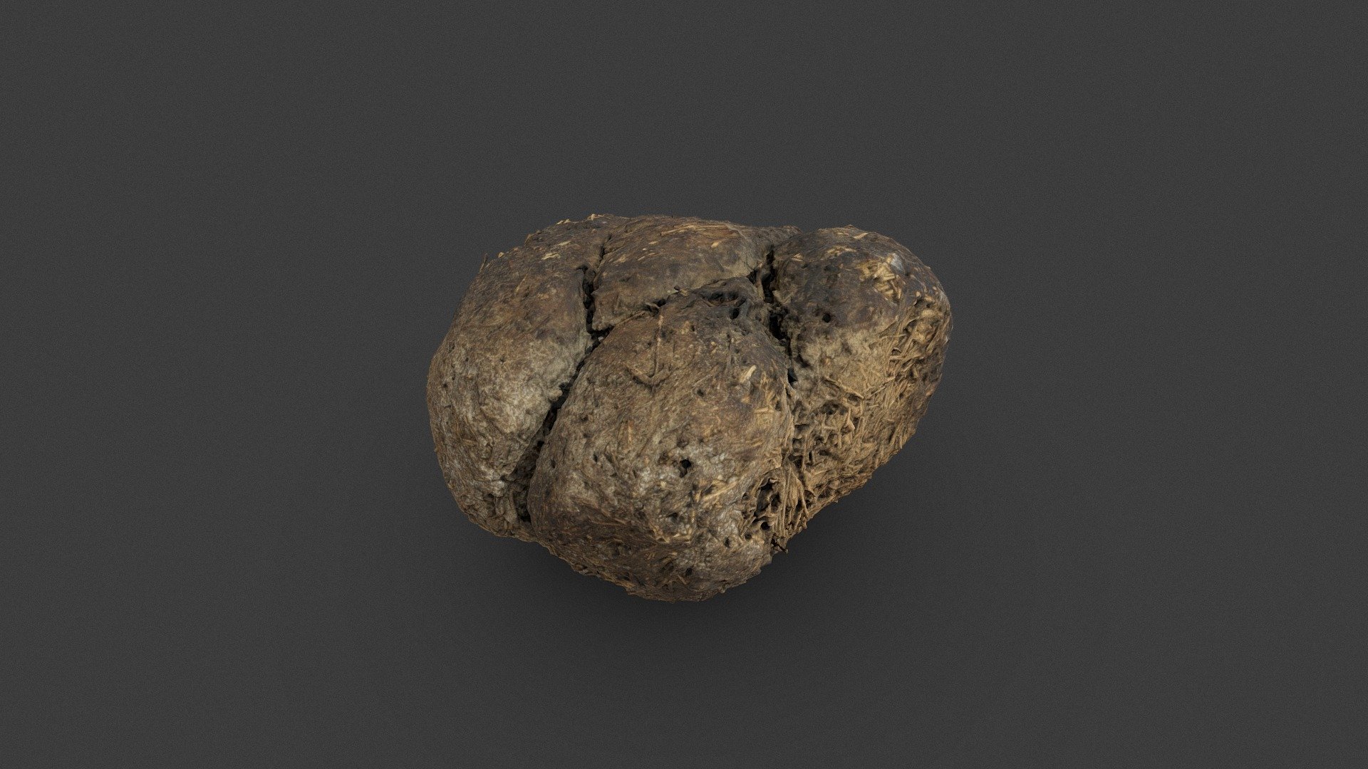Nothrotheriops Shastensis