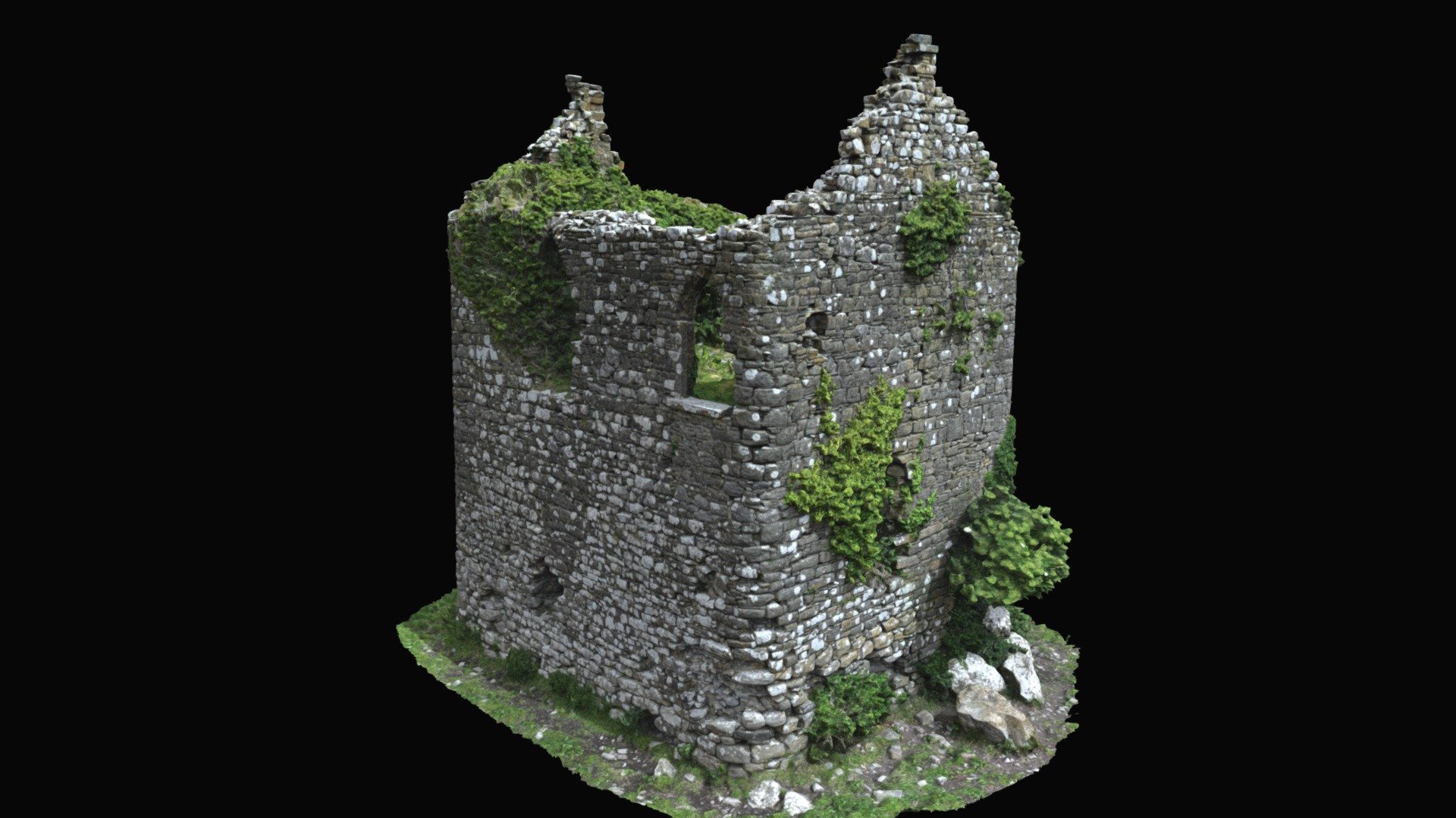 Carrick Castle (WM011-012----)