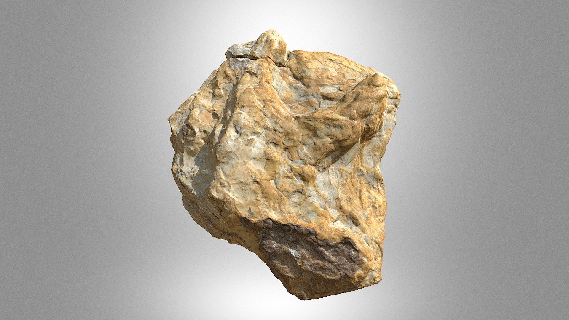 Dinosaur footprint (cf. Anomoepus isp.)