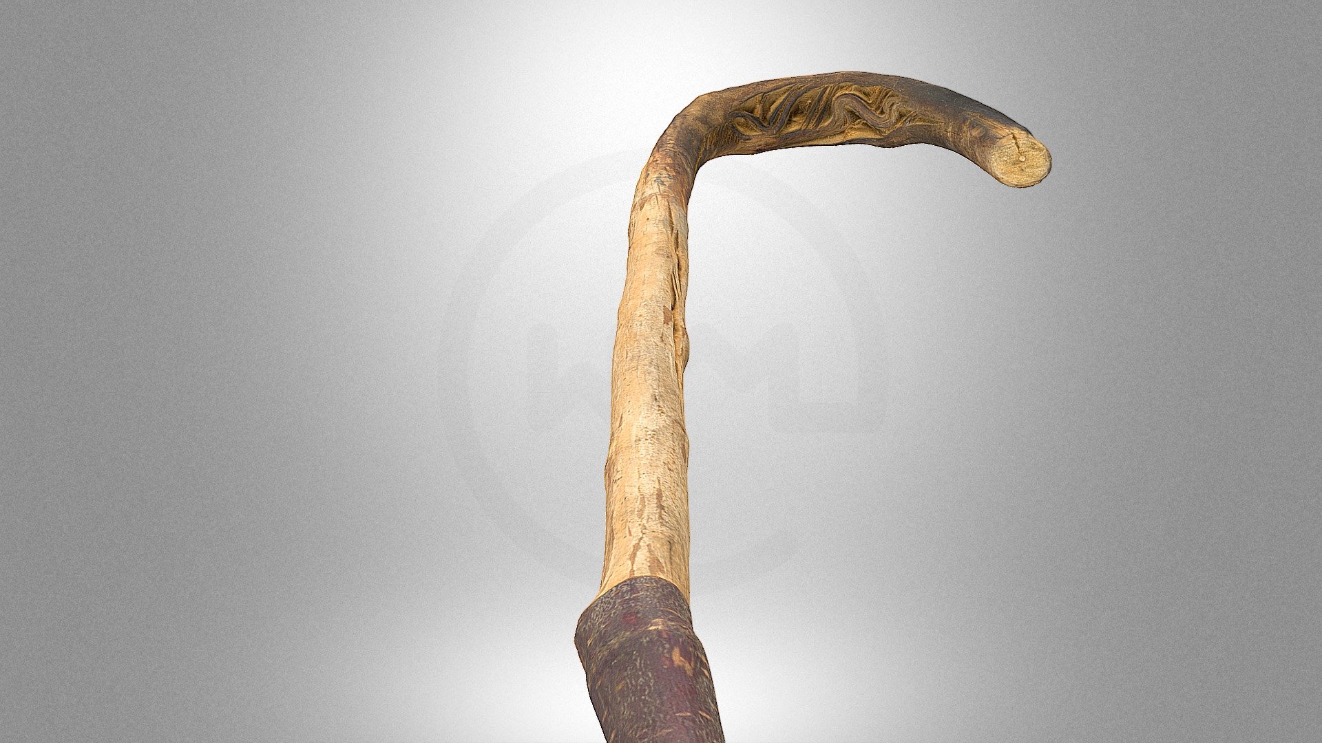 Walking stick