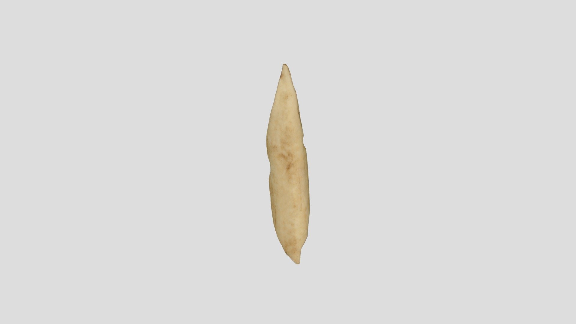 刺突具　fish spearhead