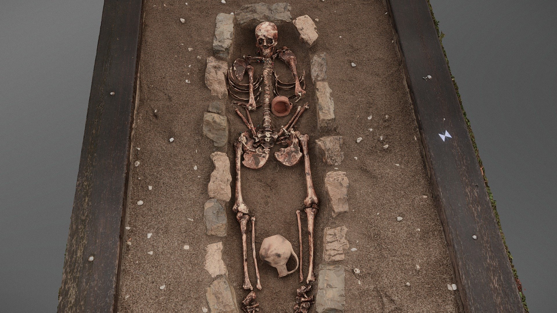 Skeleton excavation dataset
