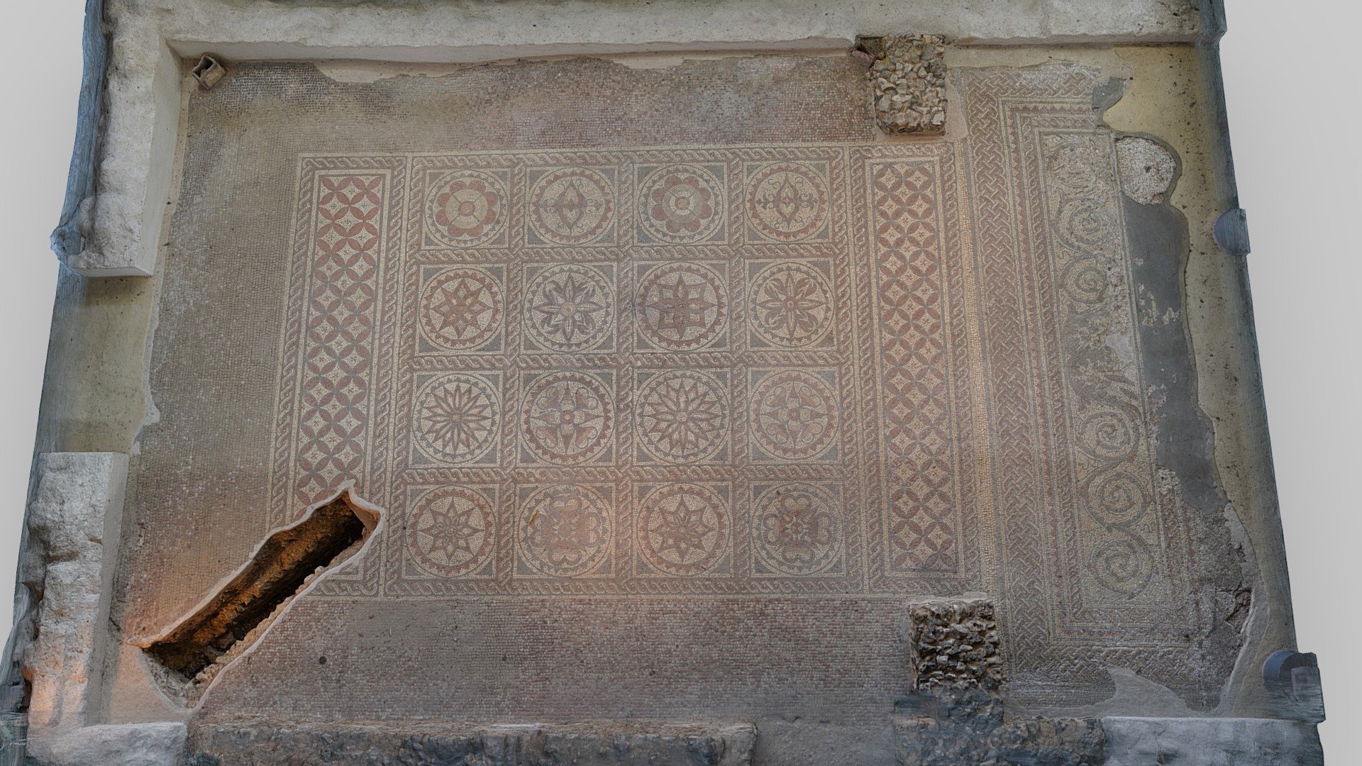 Verulamium Mosaic