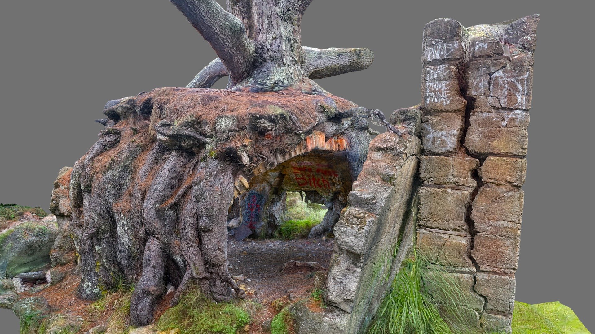 Old industrial ruins and tree