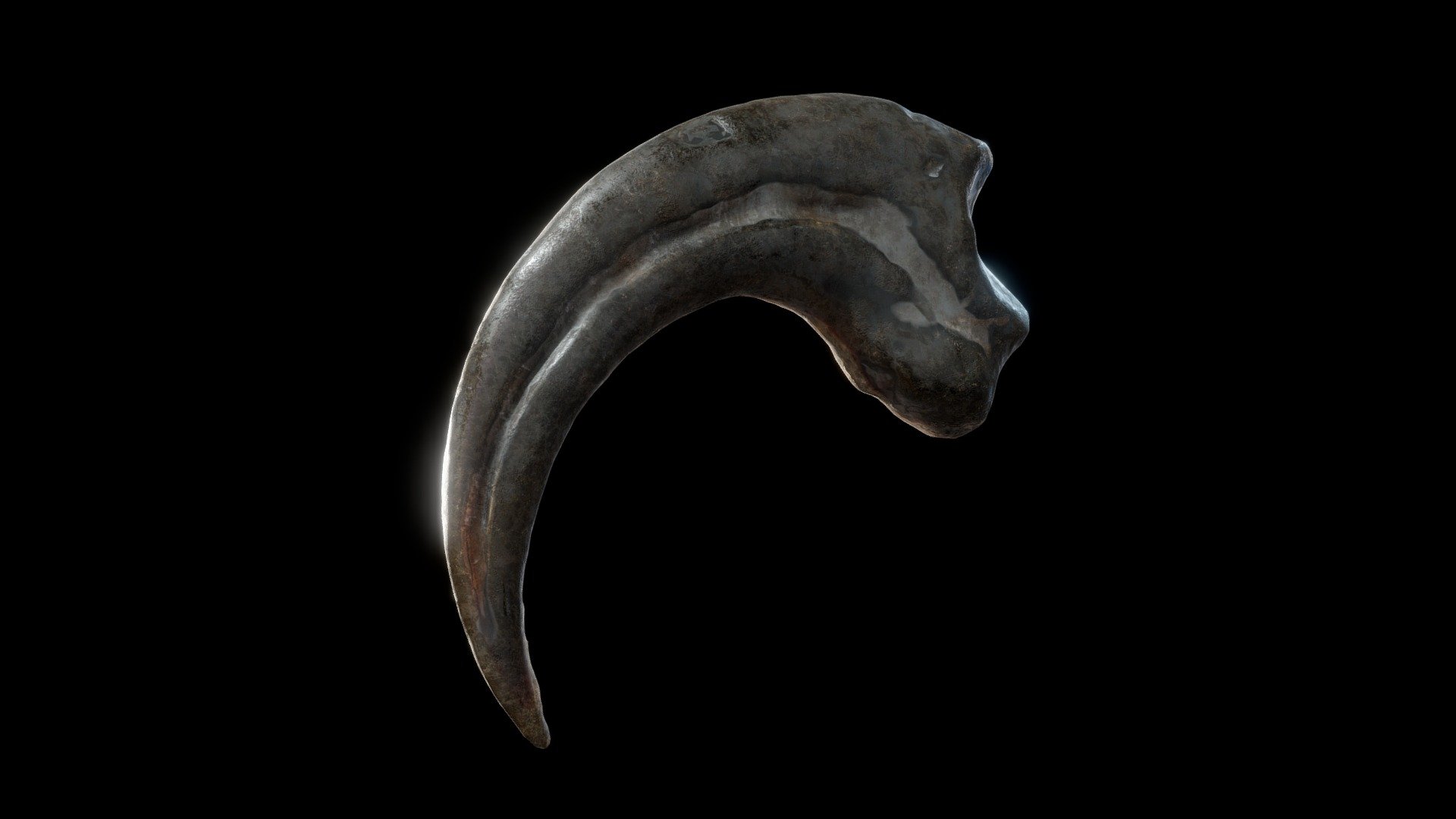 Velociraptor dinosaur claw