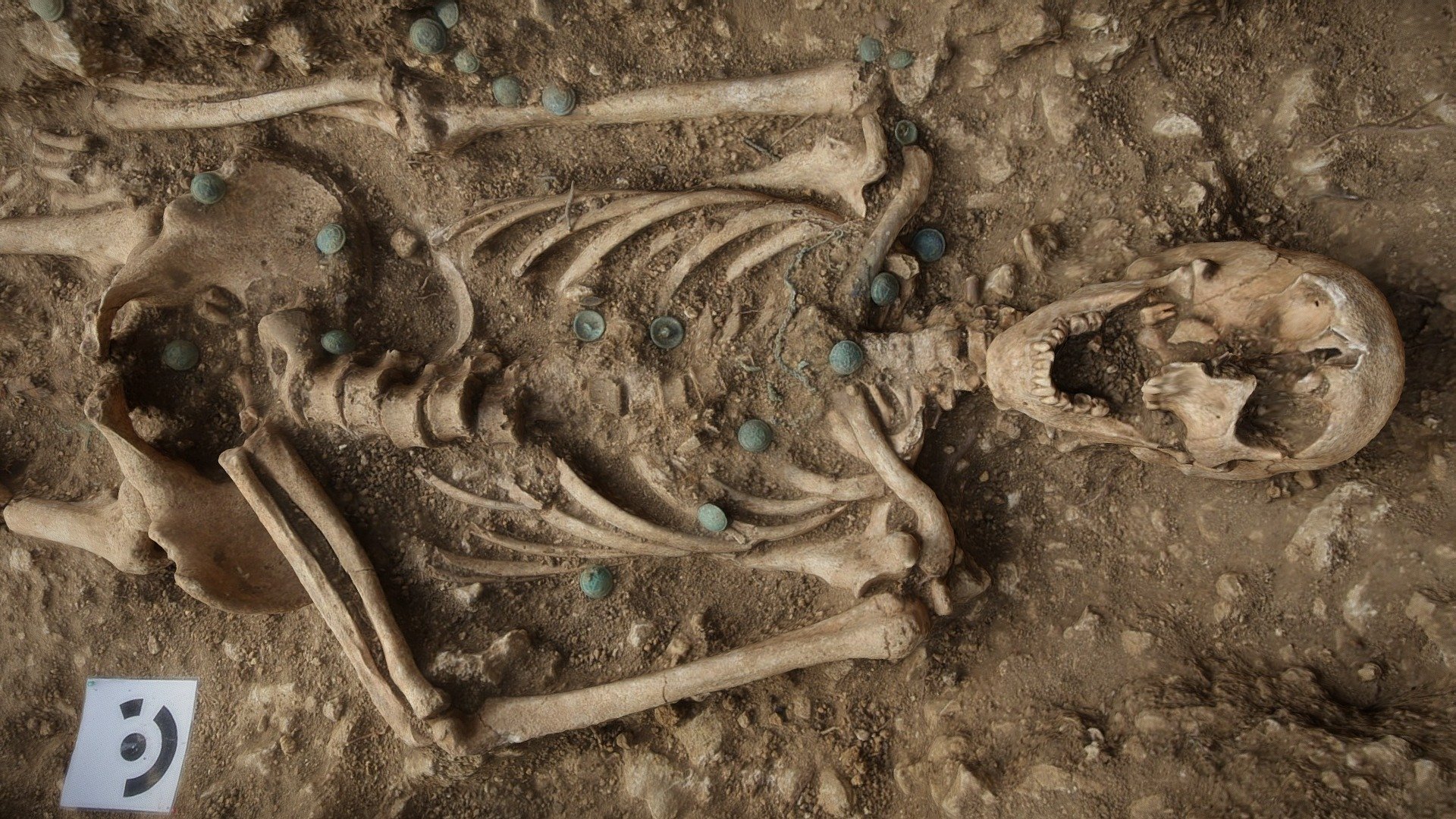 The burial of french soldier.