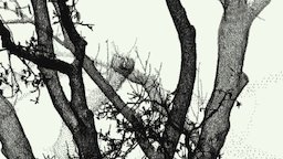 Hardy Tree (Camden, UK) and gravestones