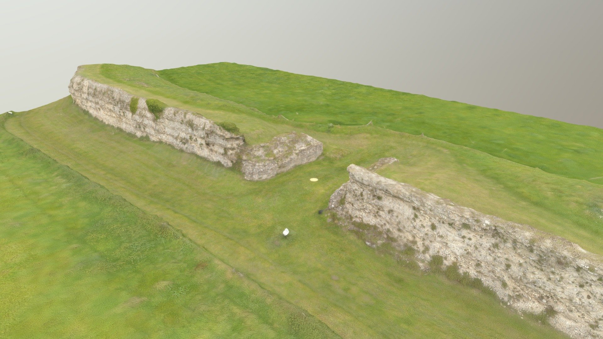 Silchester South Gate