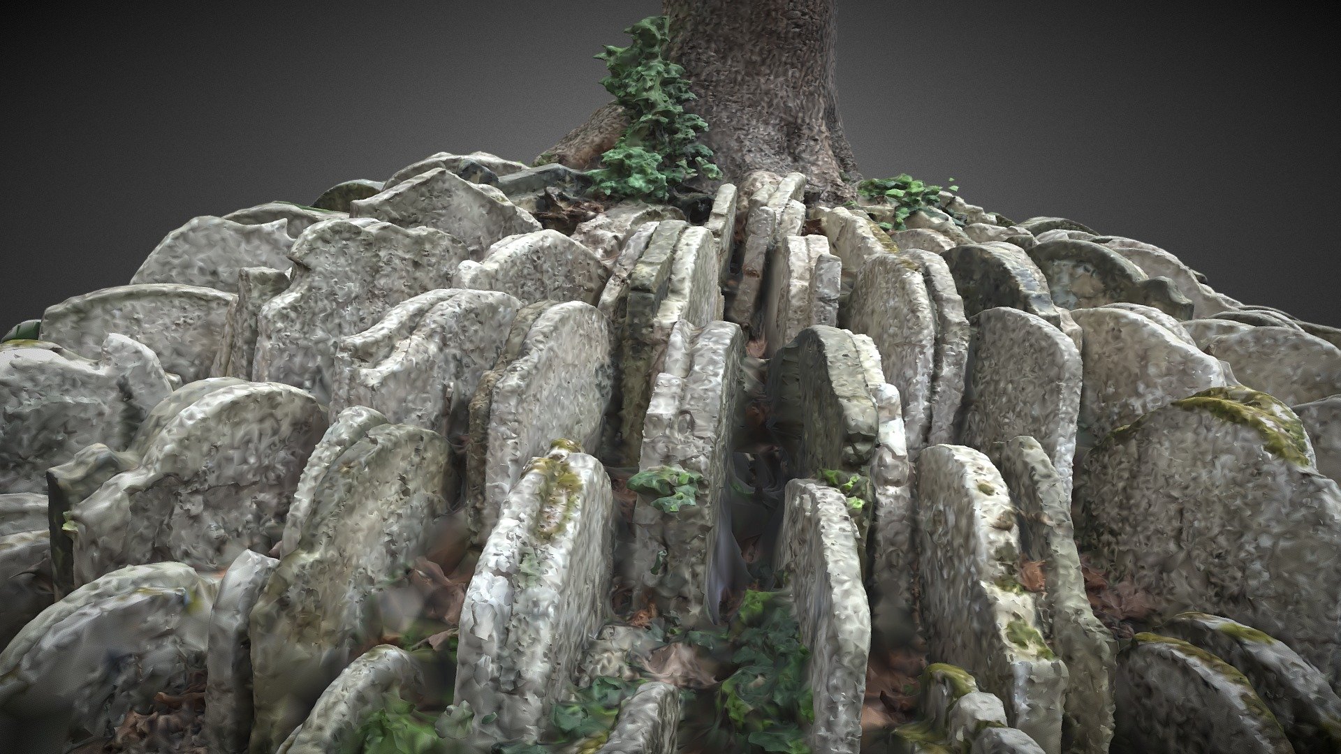 Gravestones at the base of the Hardy Tree