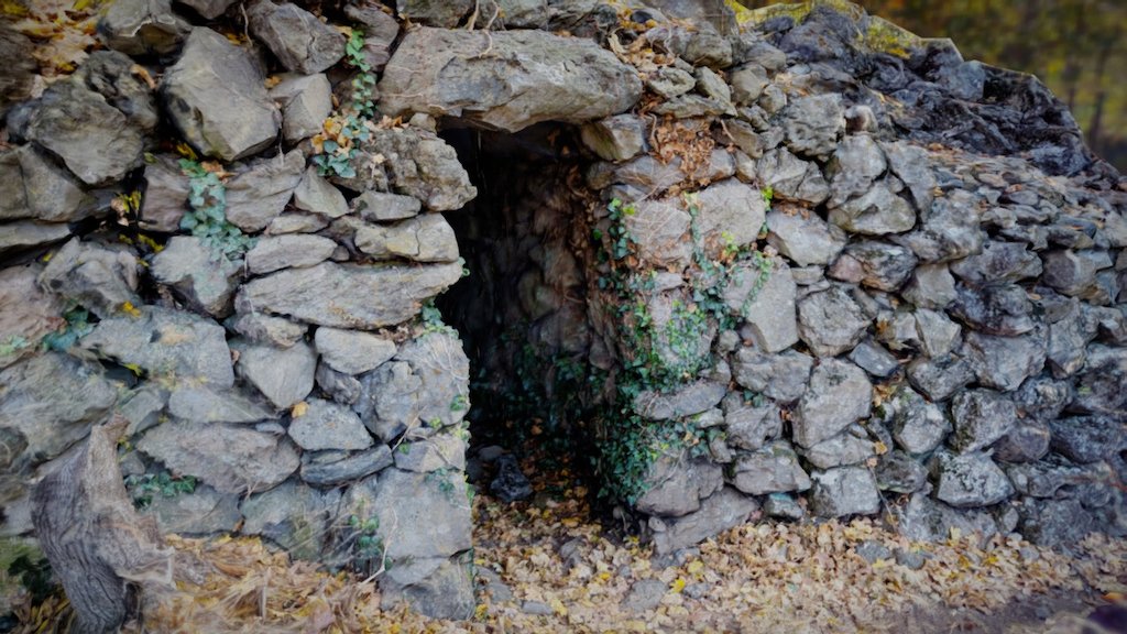 Pedra Tosca: Cave