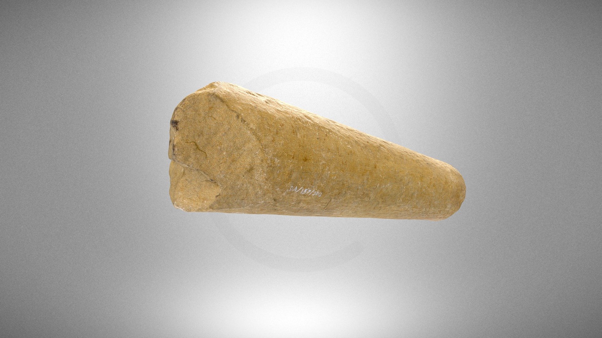 The shaft of a column