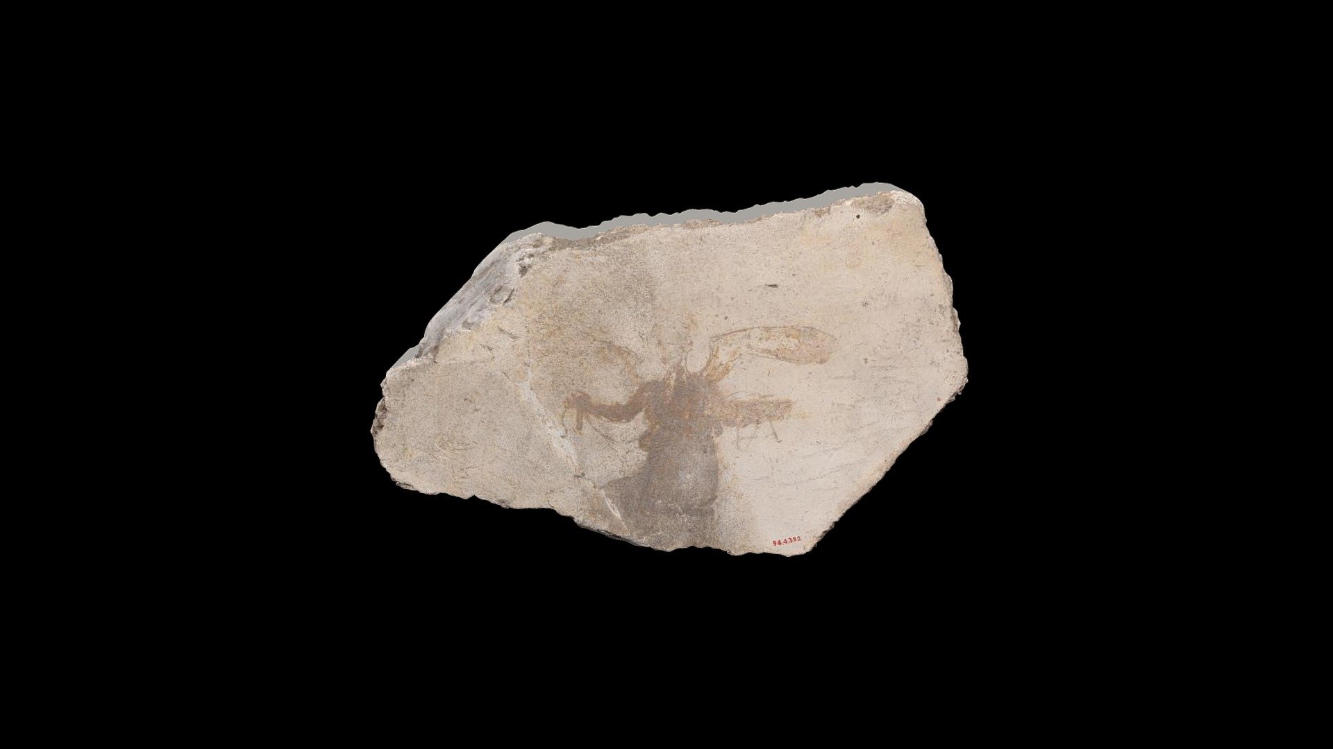 Painted wall fragment 17