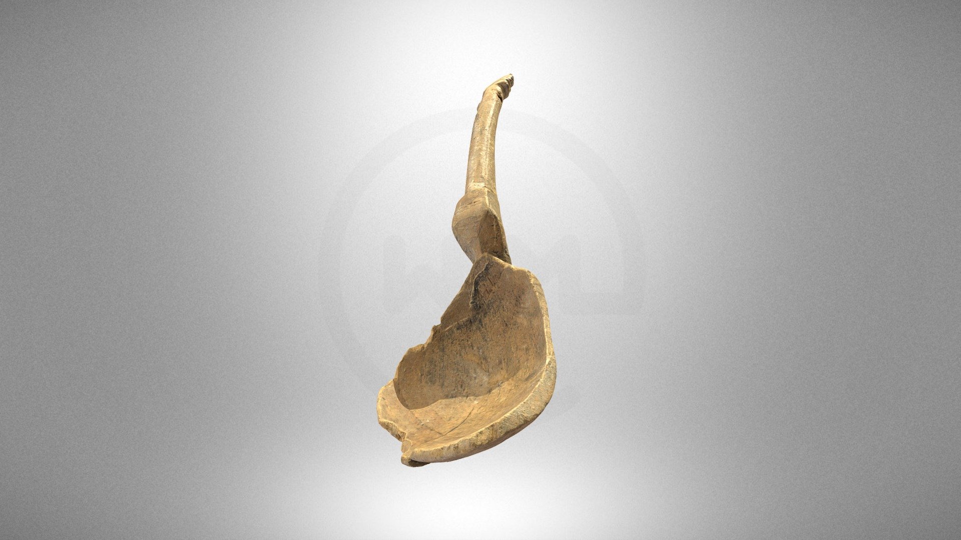 Wooden spoon