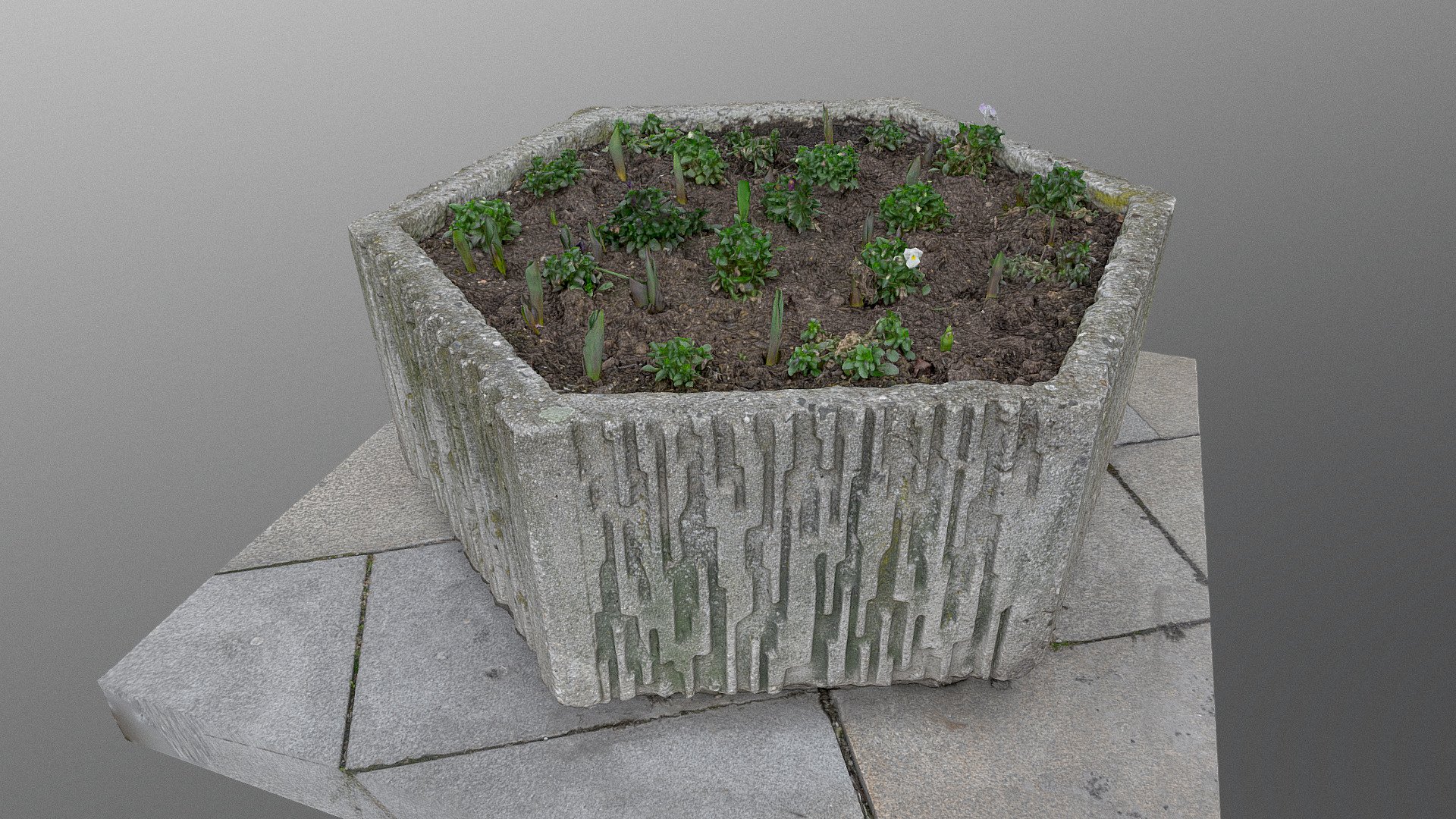 Brutal outdoor concrete hexagon flower pot