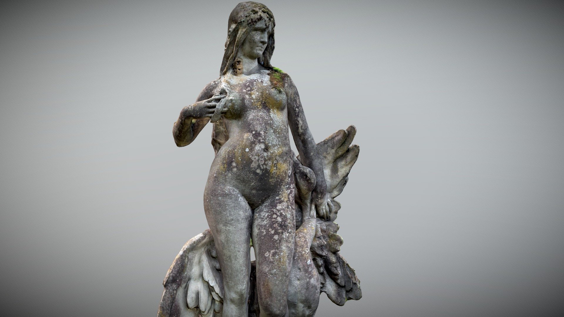 The woman and the swan
